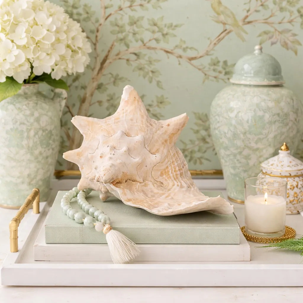 Decorative pale green chinoiserie setting with a large genuine 9" Pink Queen Conch Display Shell – NON PIERCED (Strombus Gigas), books, and candles on a table.