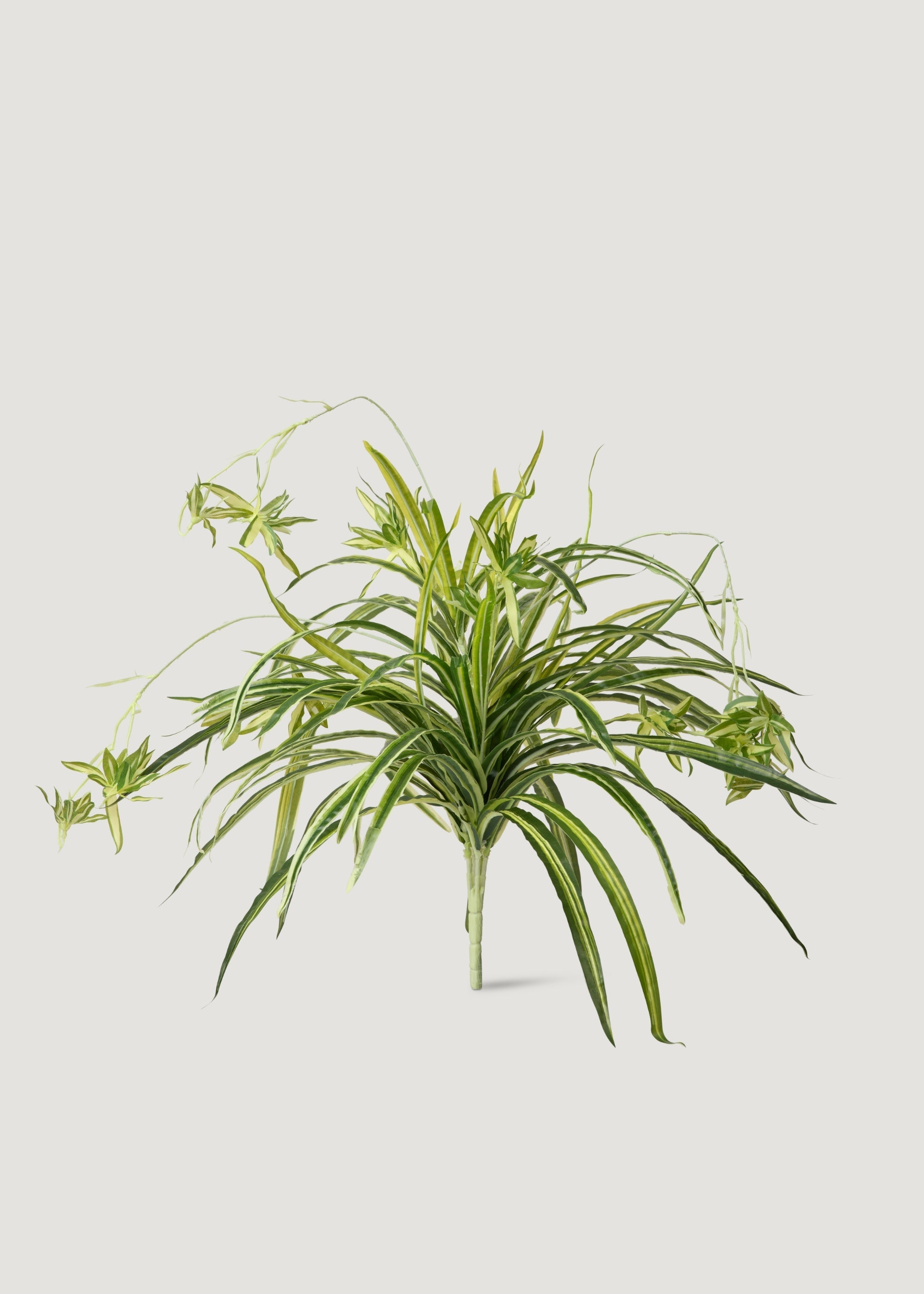 Natural Touch Fake Spider Plant - 32"