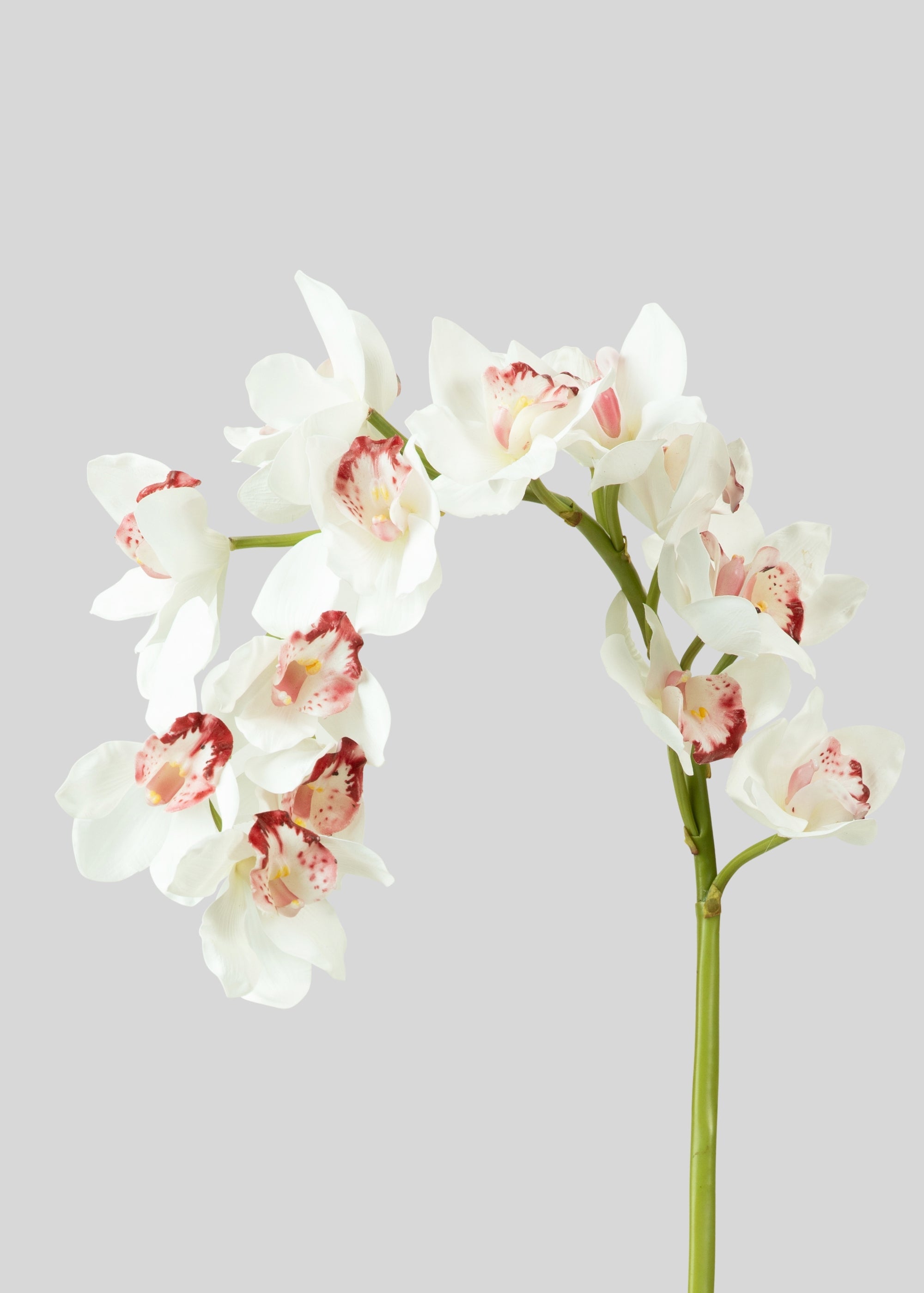 Large Natural Touch Cymbidium Orchid in White - 45"