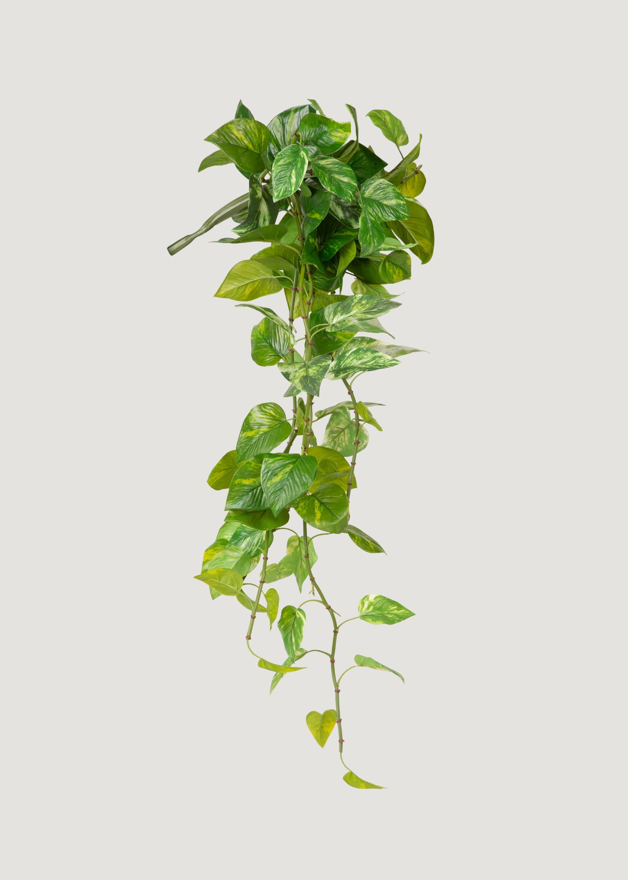 Natural Touch Variegated Pothos - Fake Hanging Plant - 27"