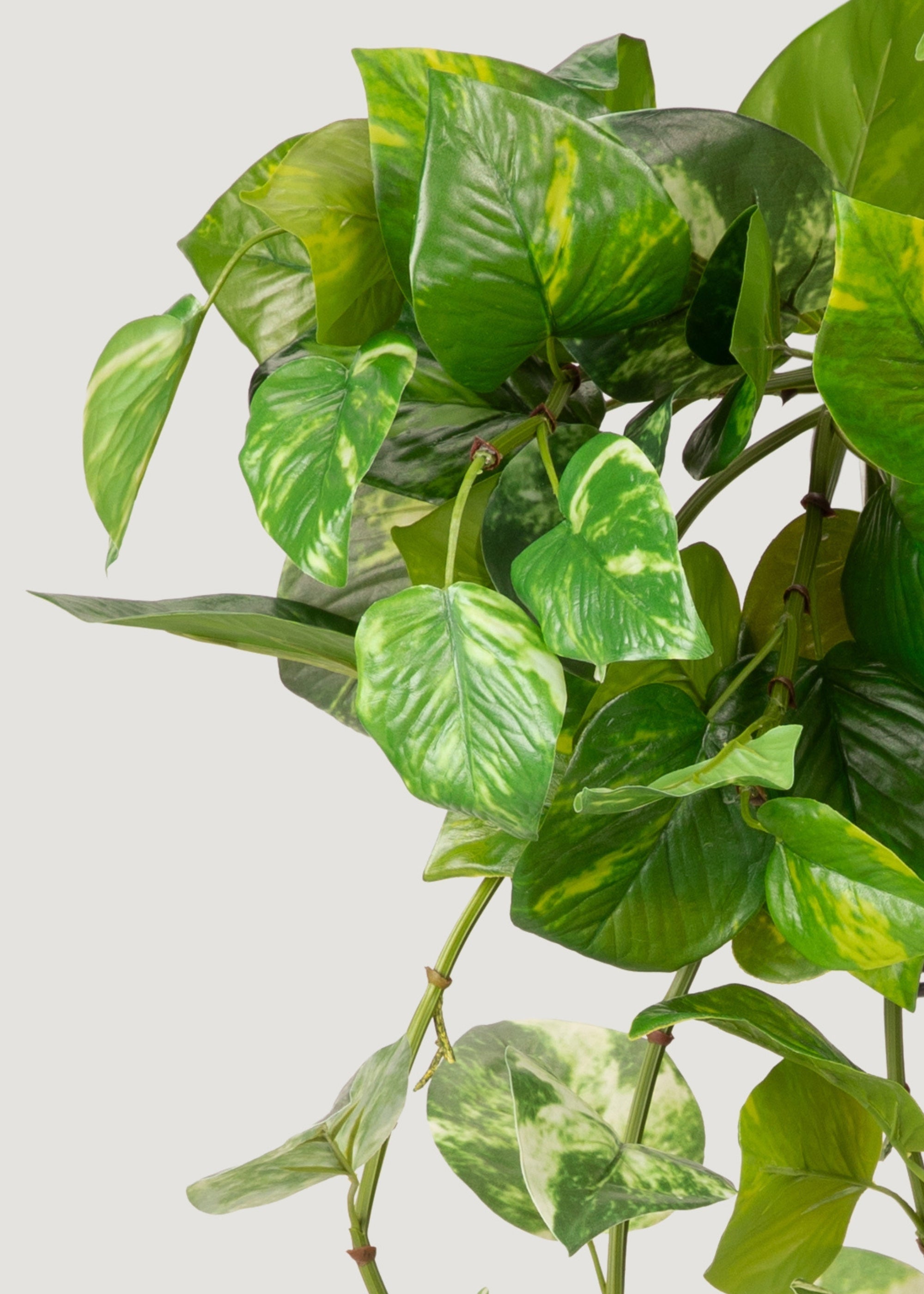 Natural Touch Variegated Pothos - Fake Hanging Plant - 27"