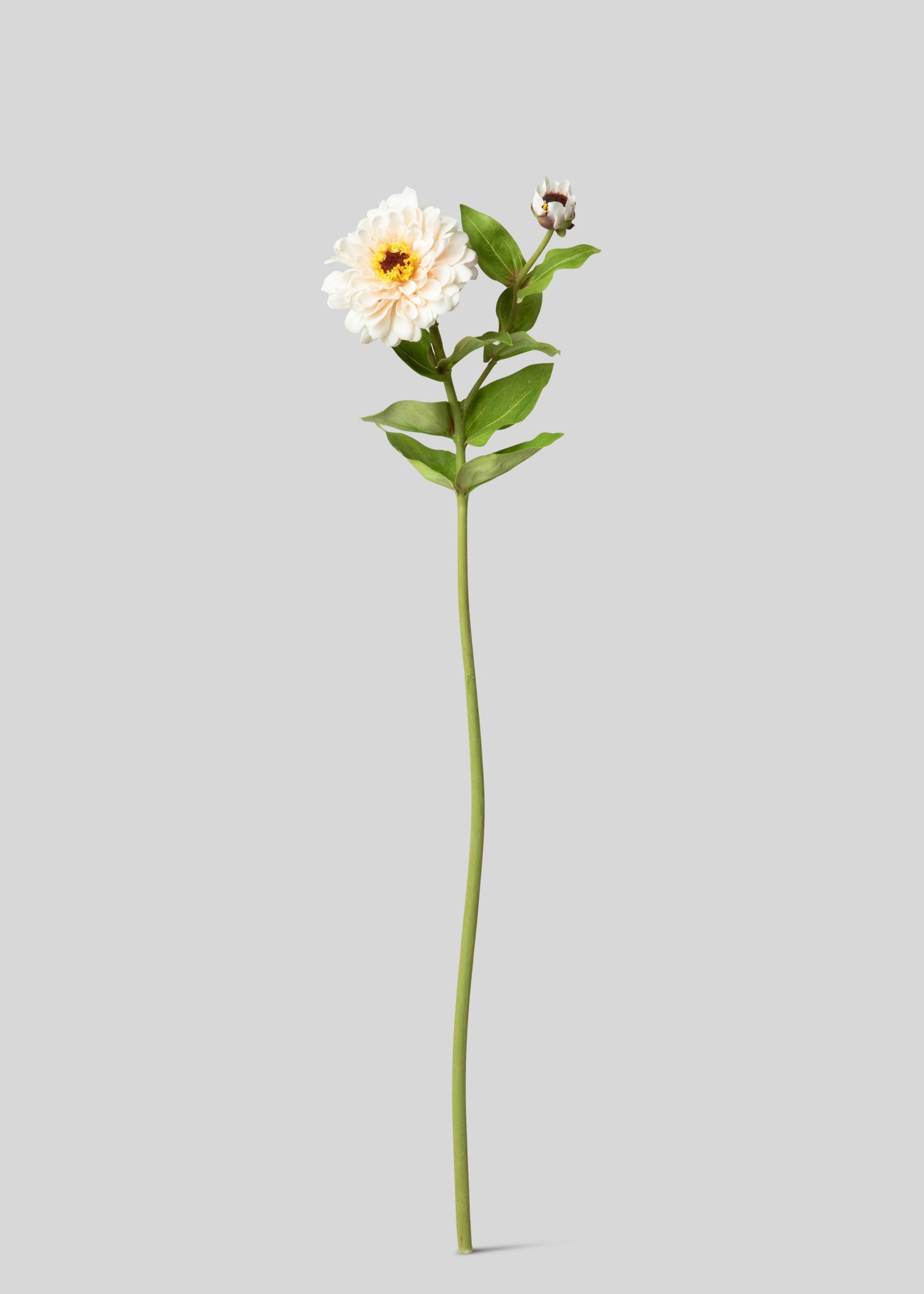 Cream Zinnia Real Touch Fake Flower - 24.5"