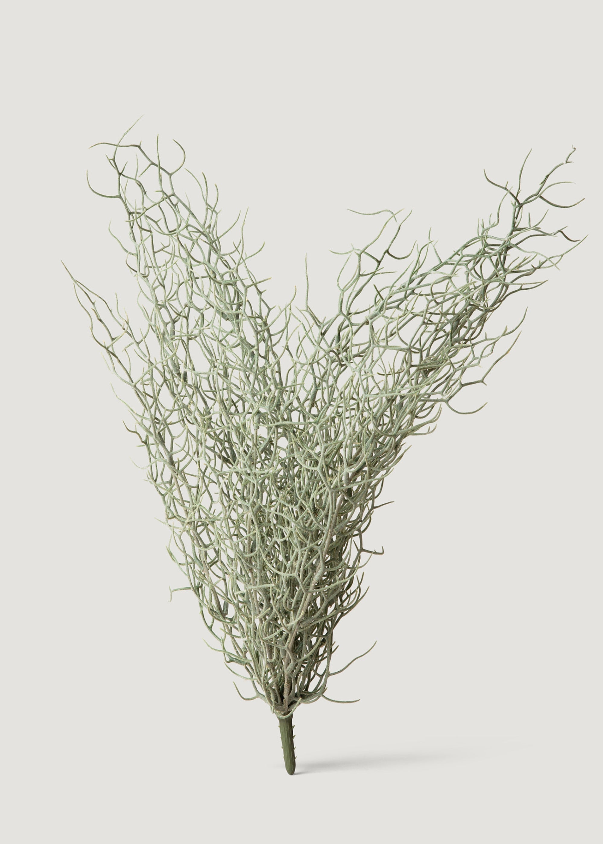 Abigail Ahern Artificial Grass Bush - 26"