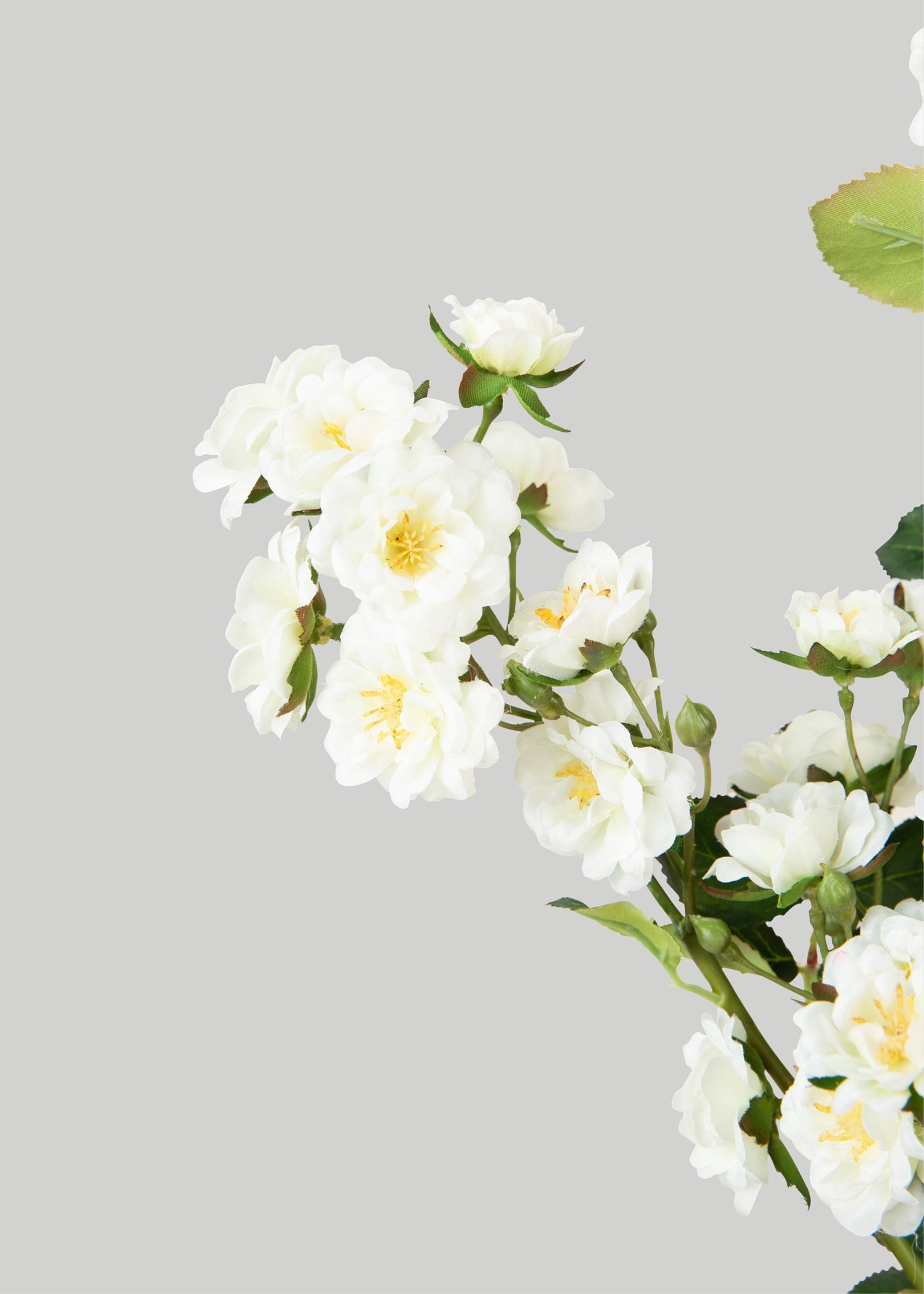 Climbing Fake Roses Branch in Cream White - 33"