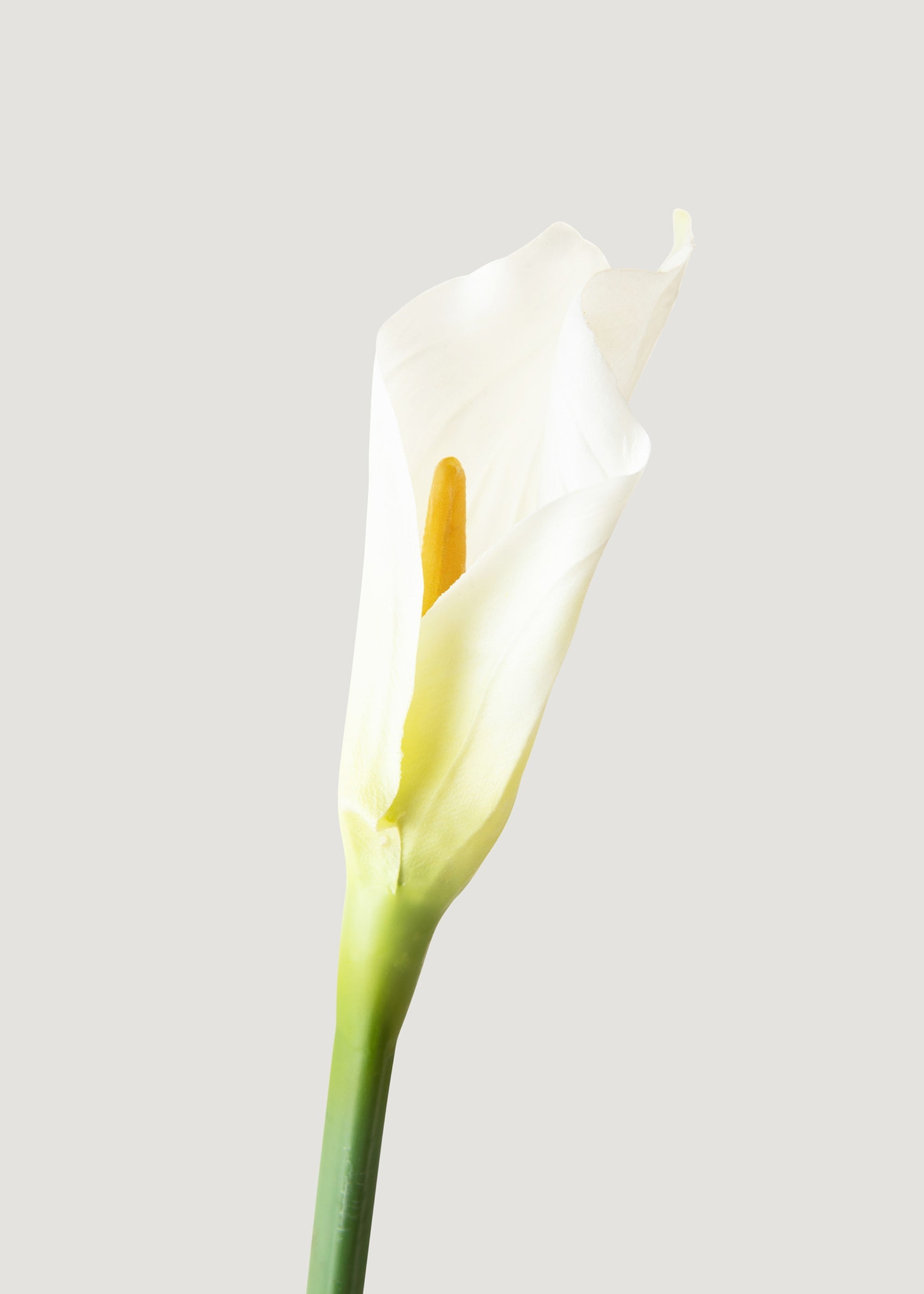 Case of 12 Artificial Calla Lily Stems in Cream 37"
