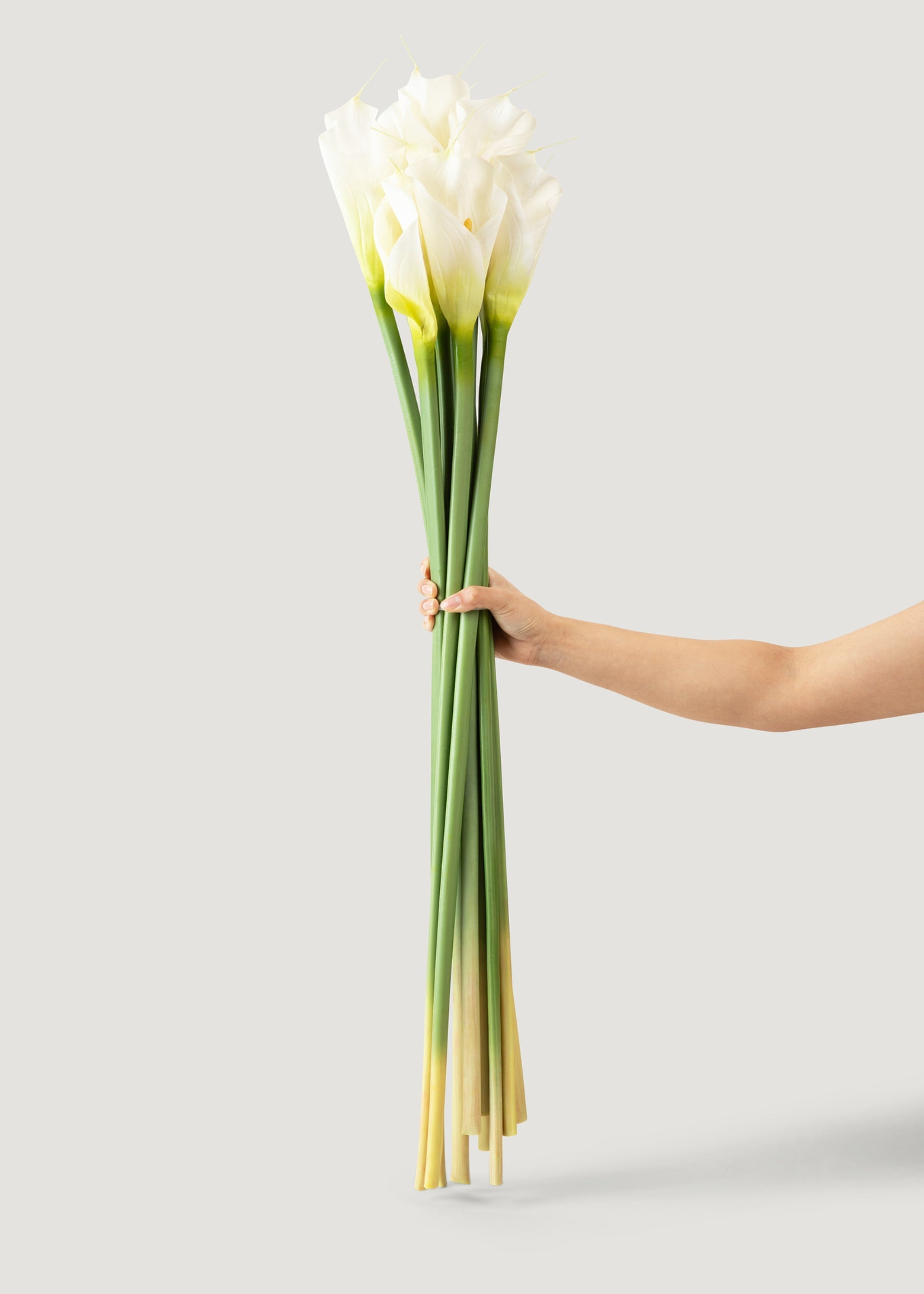 Case of 12 Artificial Calla Lily Stems in Cream 37"