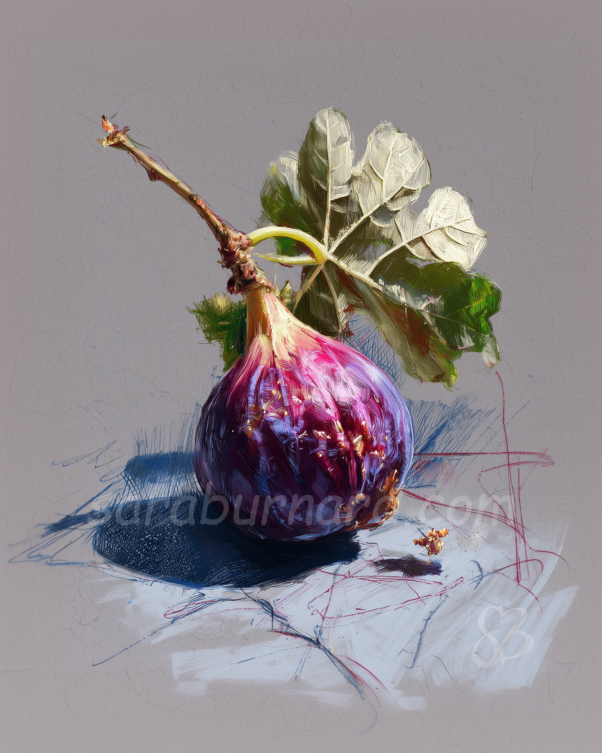 Vibrant Fig Fine Art Print – A Stunning Botanical Still Life Sketch