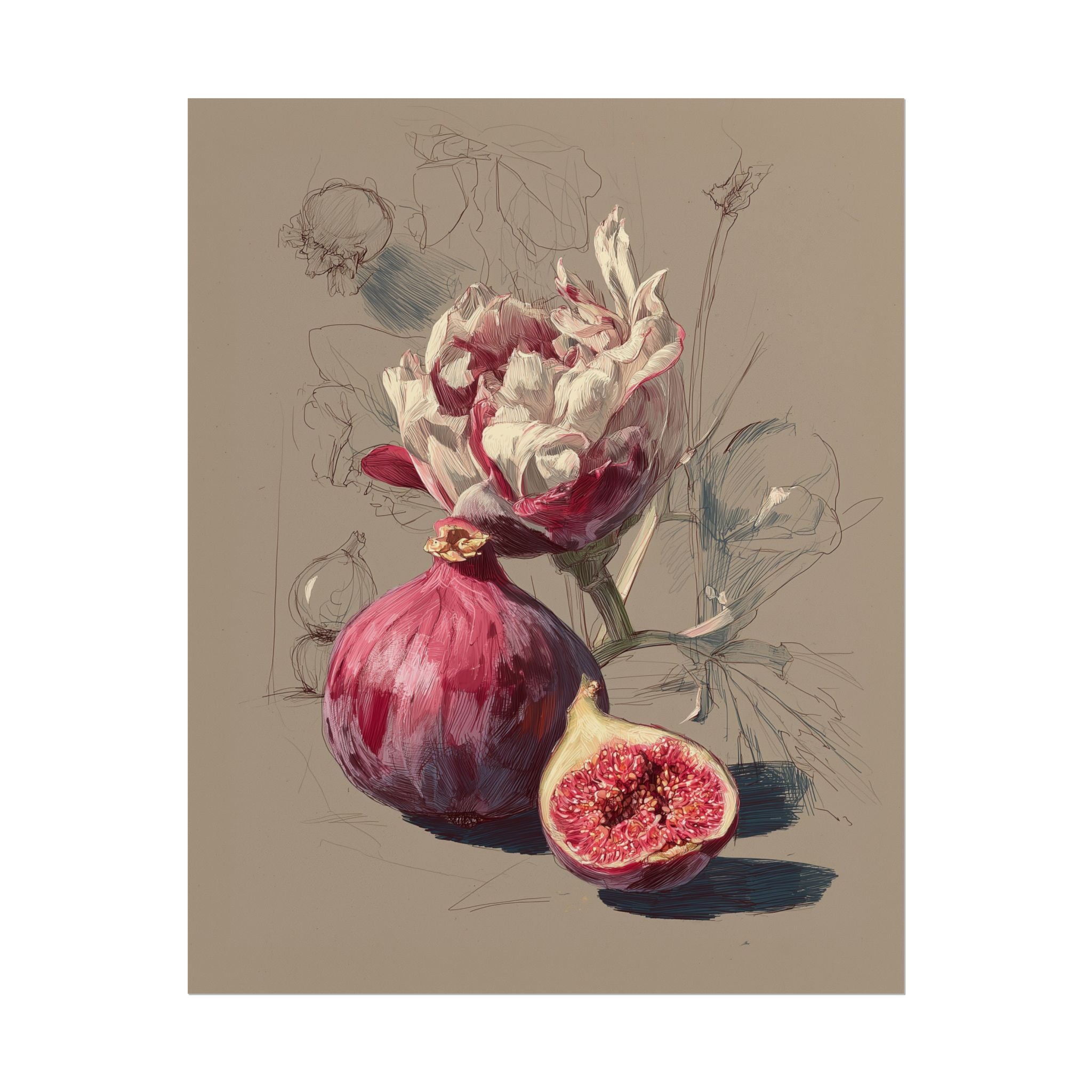 Fig and Flower Fine Art Print – Elegant Botanical Still Life Sketch