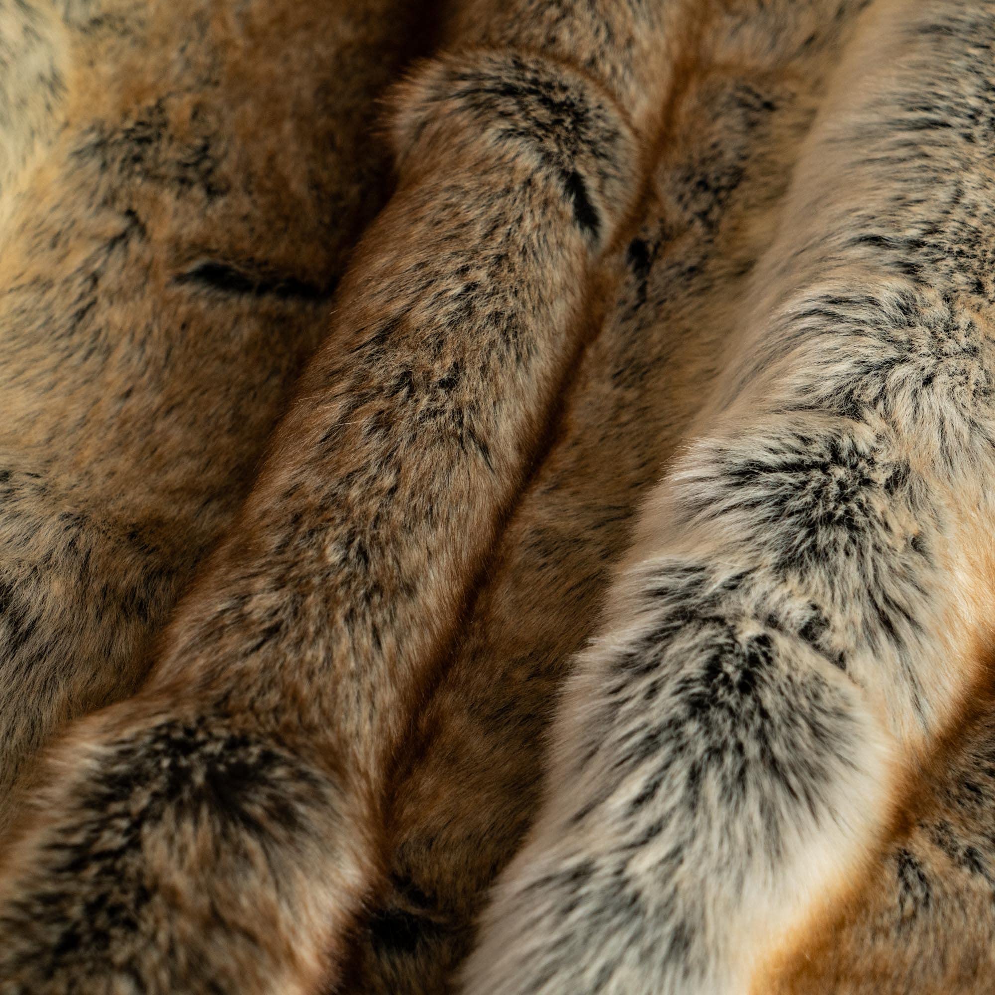 Close-up of brown and black fur texture