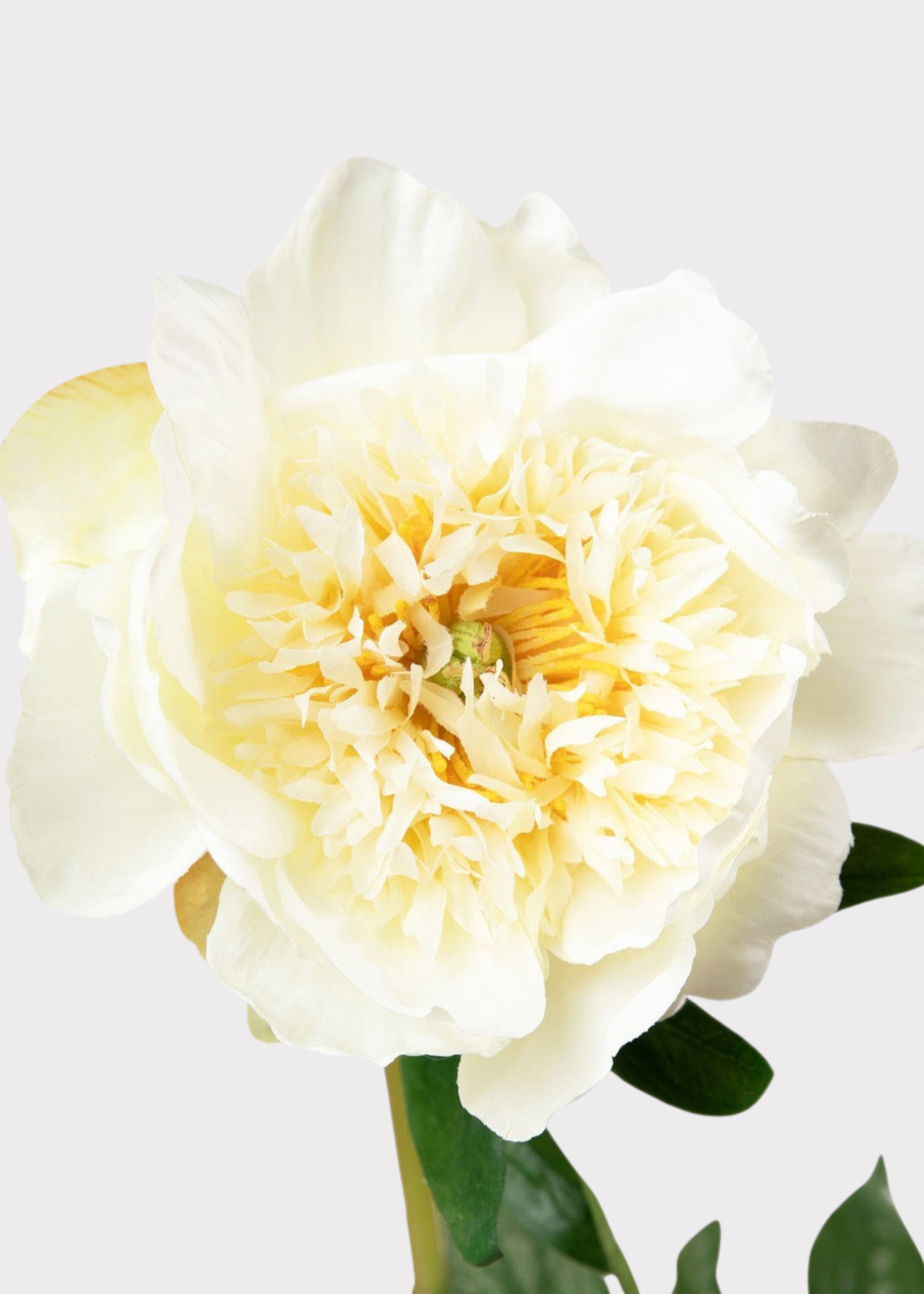 Artificial Peony Flower in Pale Yellow - 28.5"
