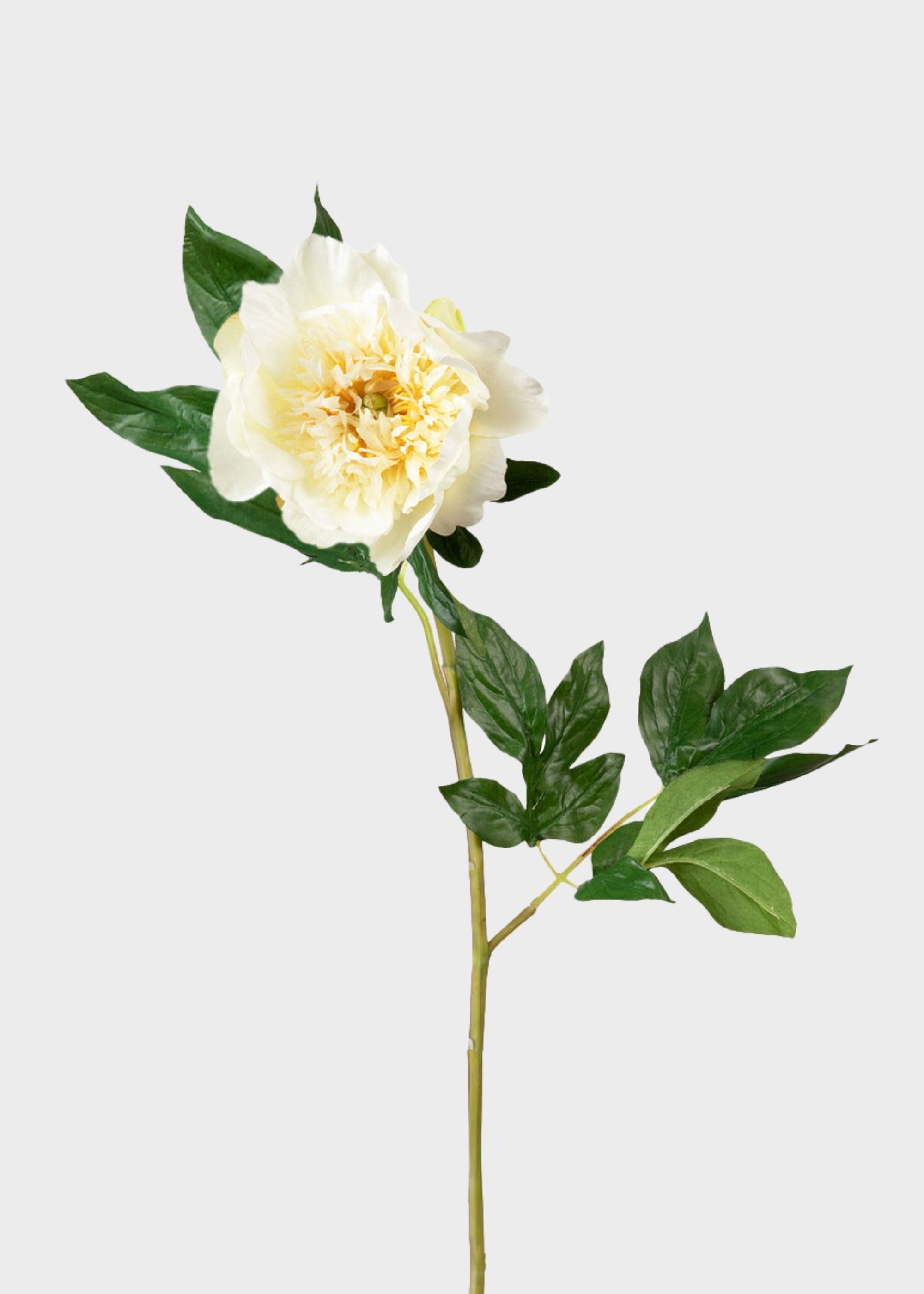 Artificial Peony Flower in Pale Yellow - 28.5"