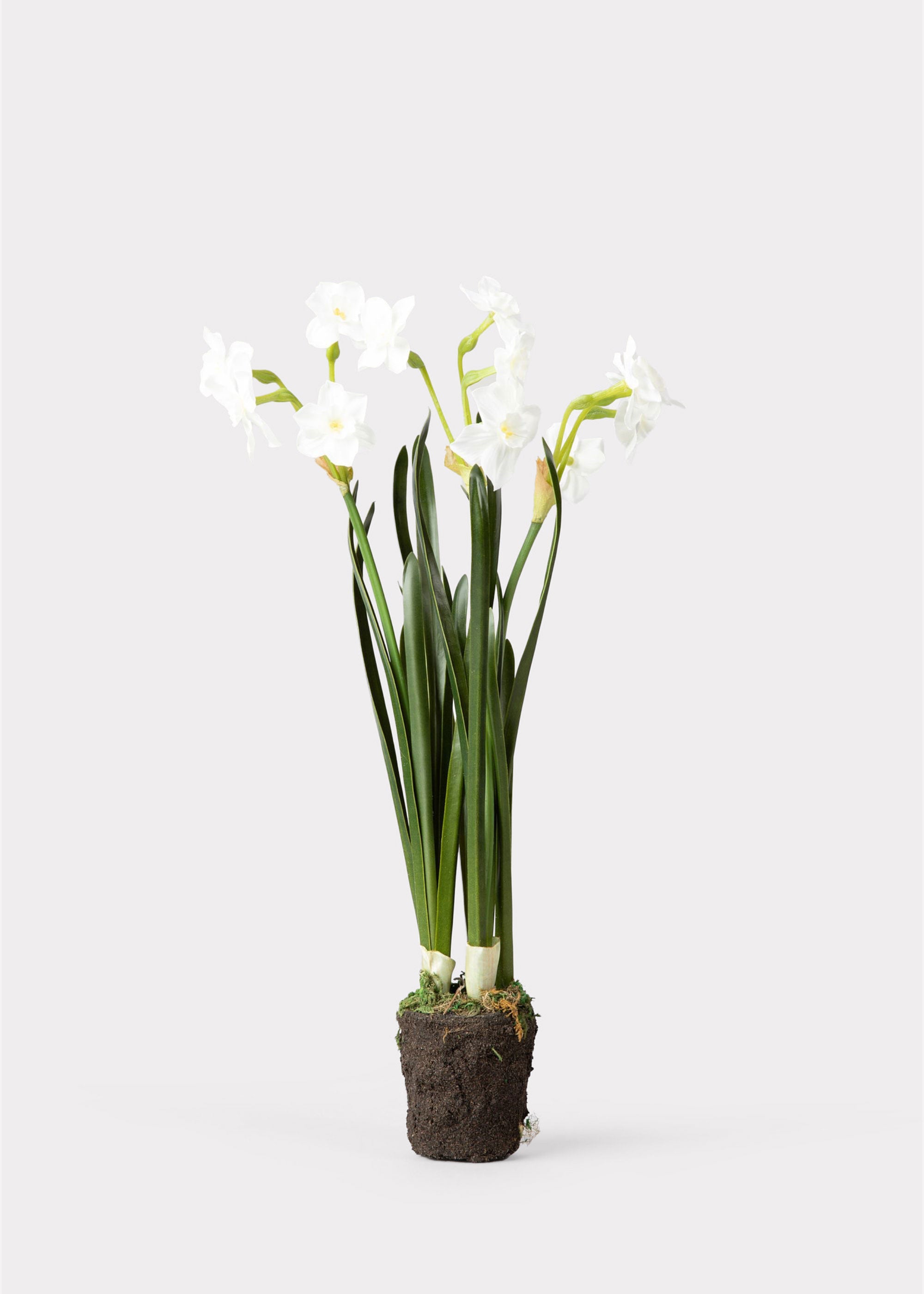Artificial Spring Paperwhite Drop-In Plant - 17"