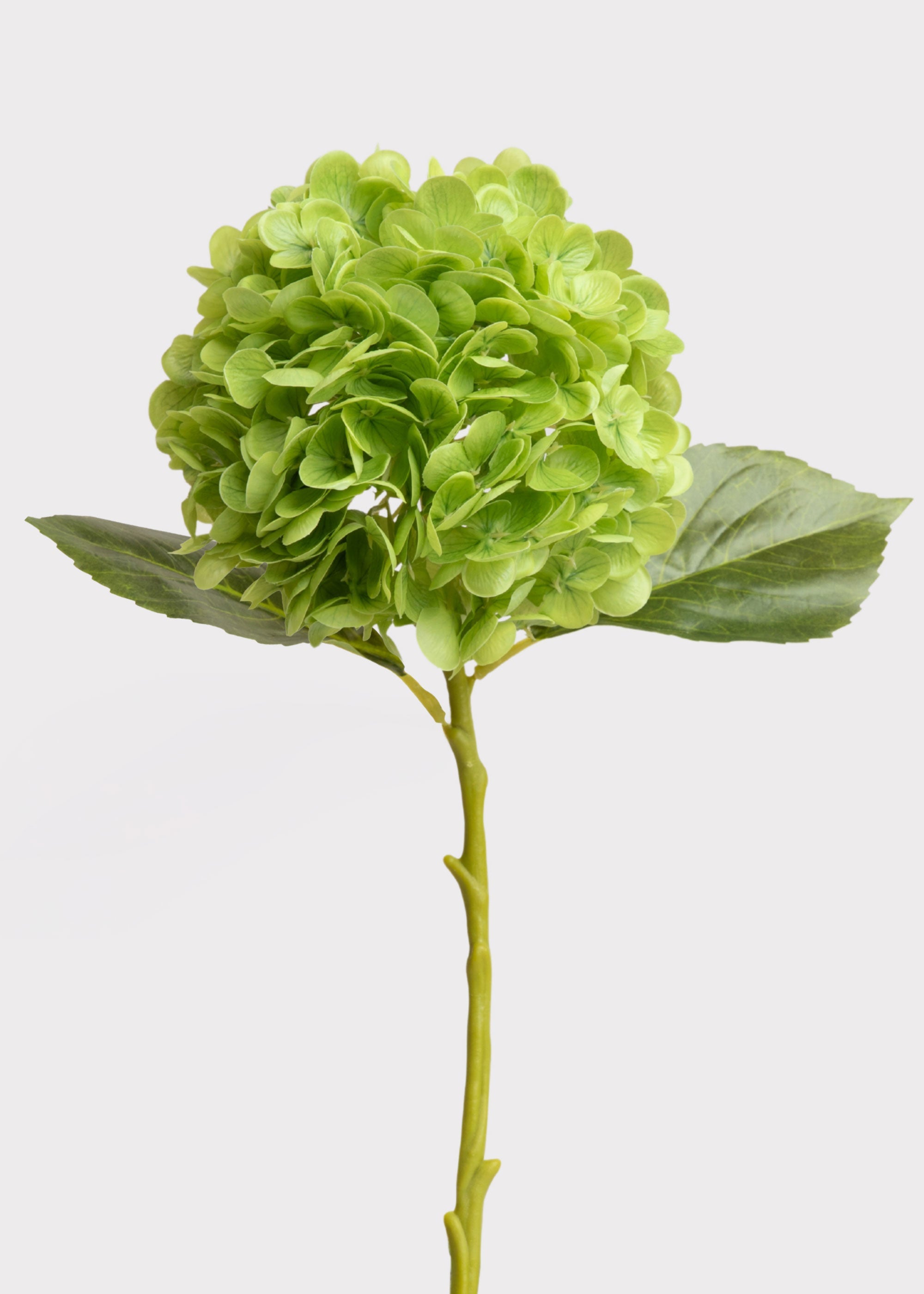 Hydrangea Real Touch Fake Flower in Green - 18.5"