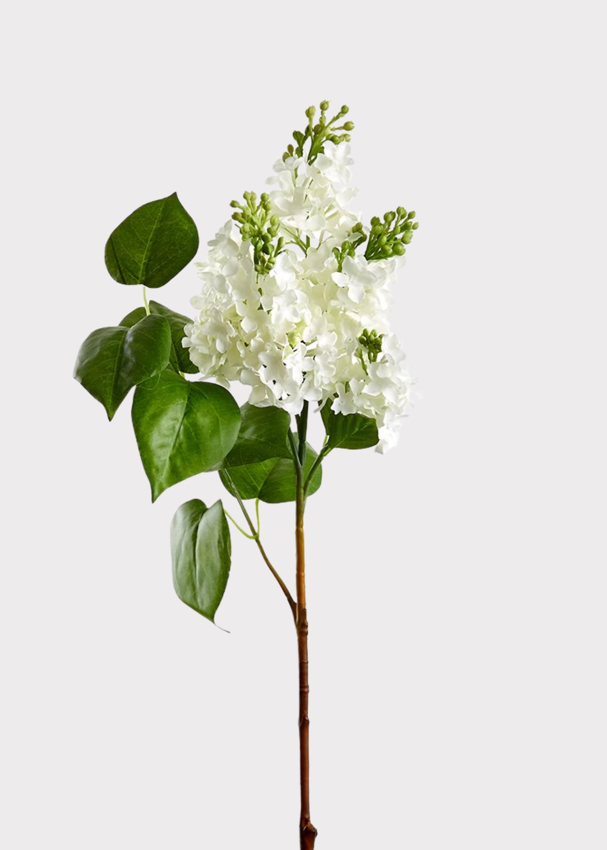 Premium Artificial Blooming Lilac Stem in White - 26"