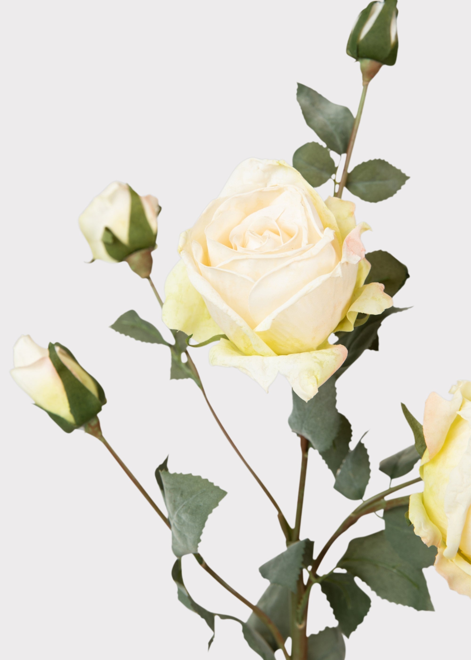 Artificial Roses in Cream - 27.5"