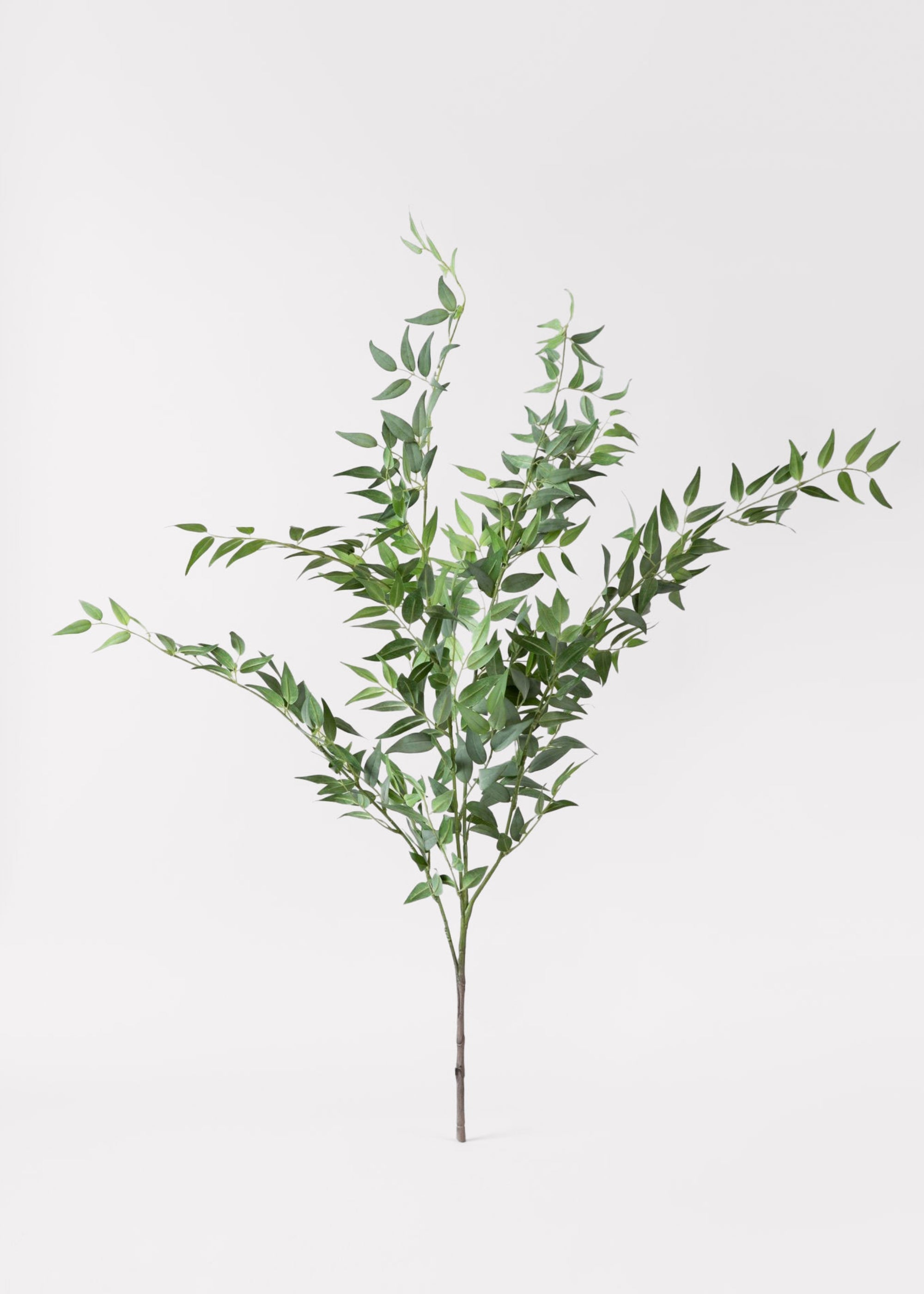 Faux Italian Ruscus Spray - 46"