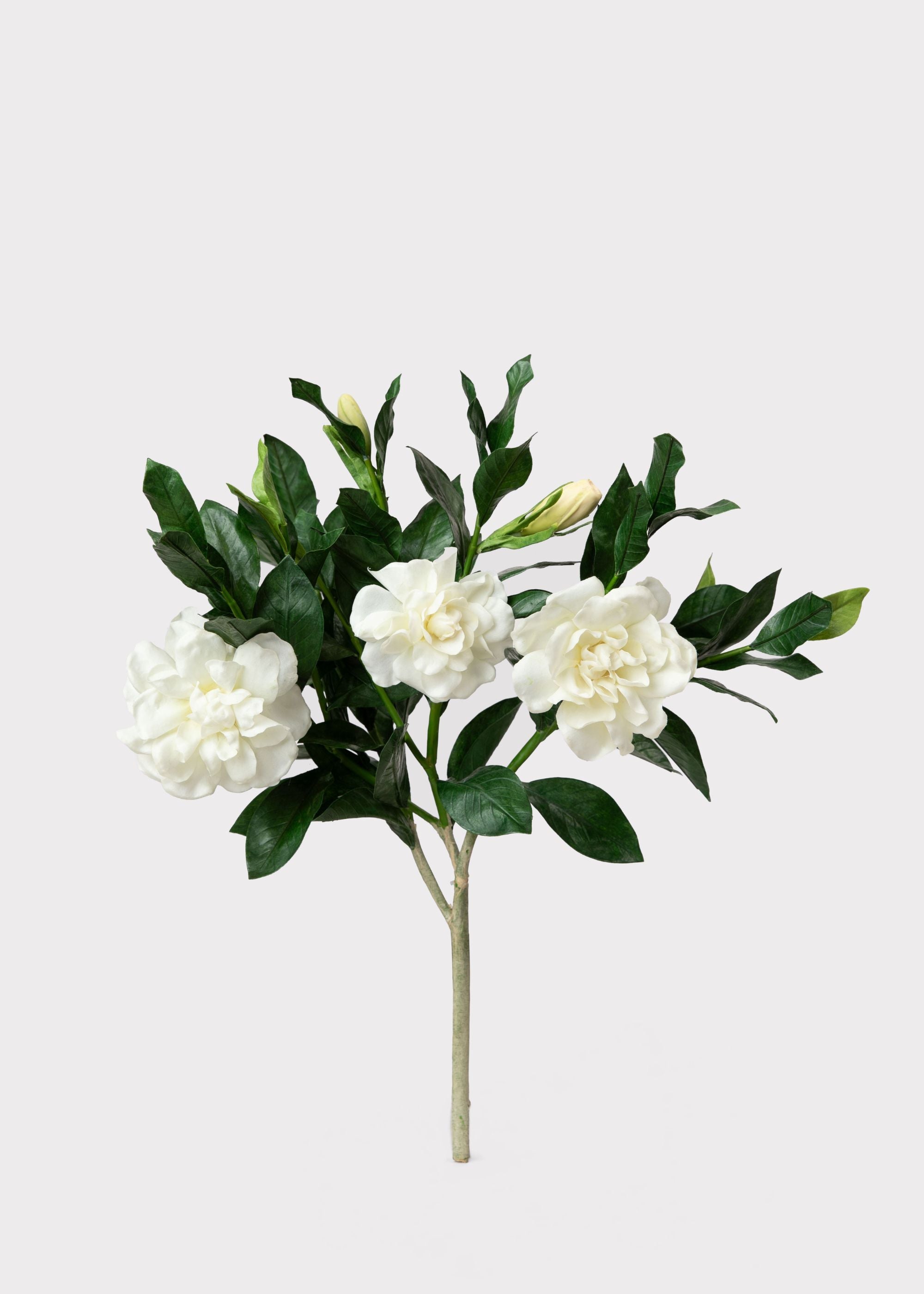 Premium Artificial Gardenia Flower Branch- 19"