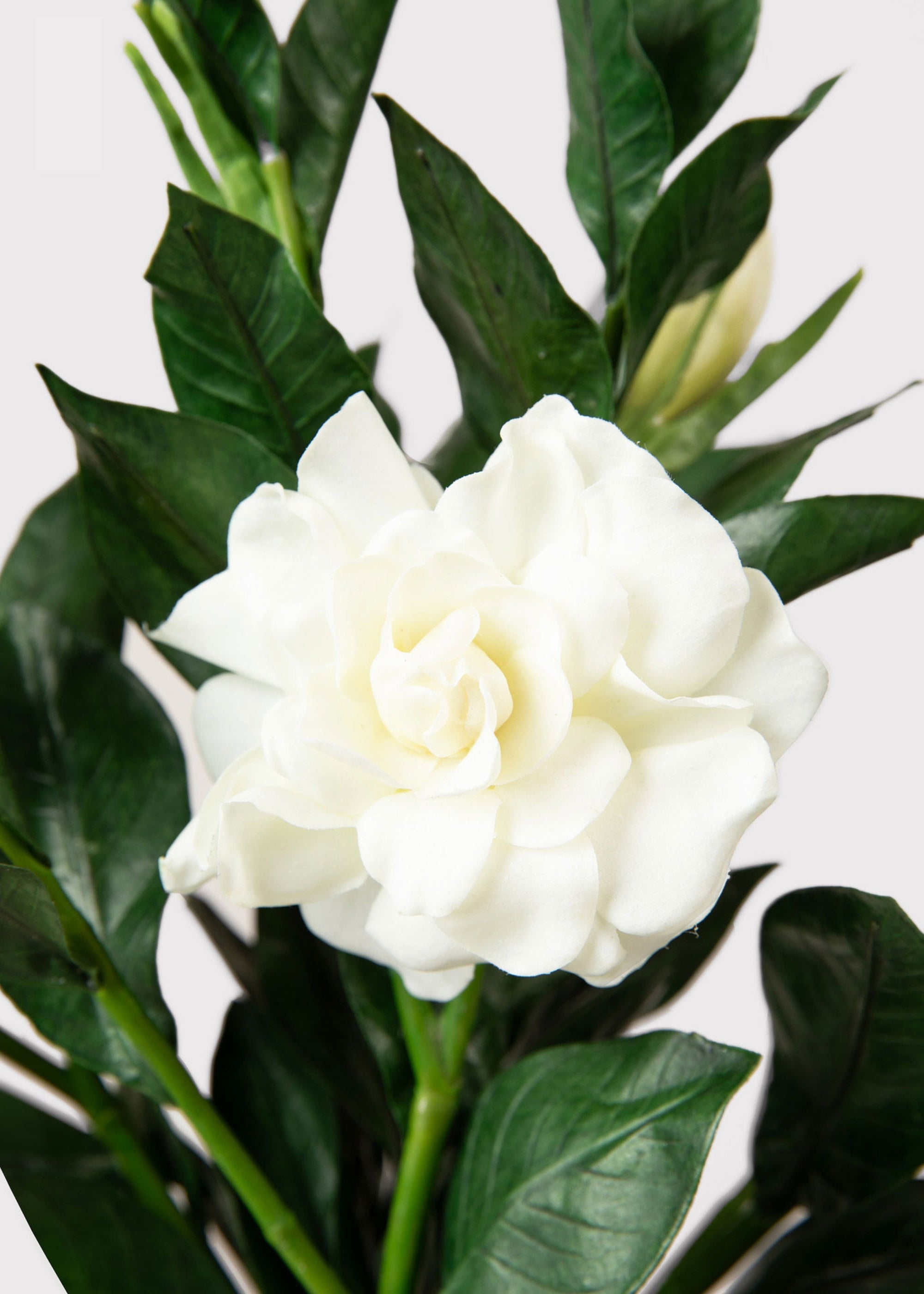 Premium Artificial Gardenia Flower Branch- 19"