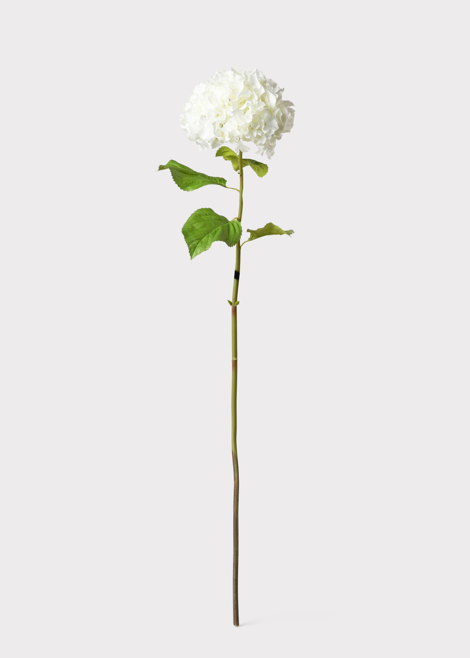 Tall Hydrangea Faux Flower in White - 45"