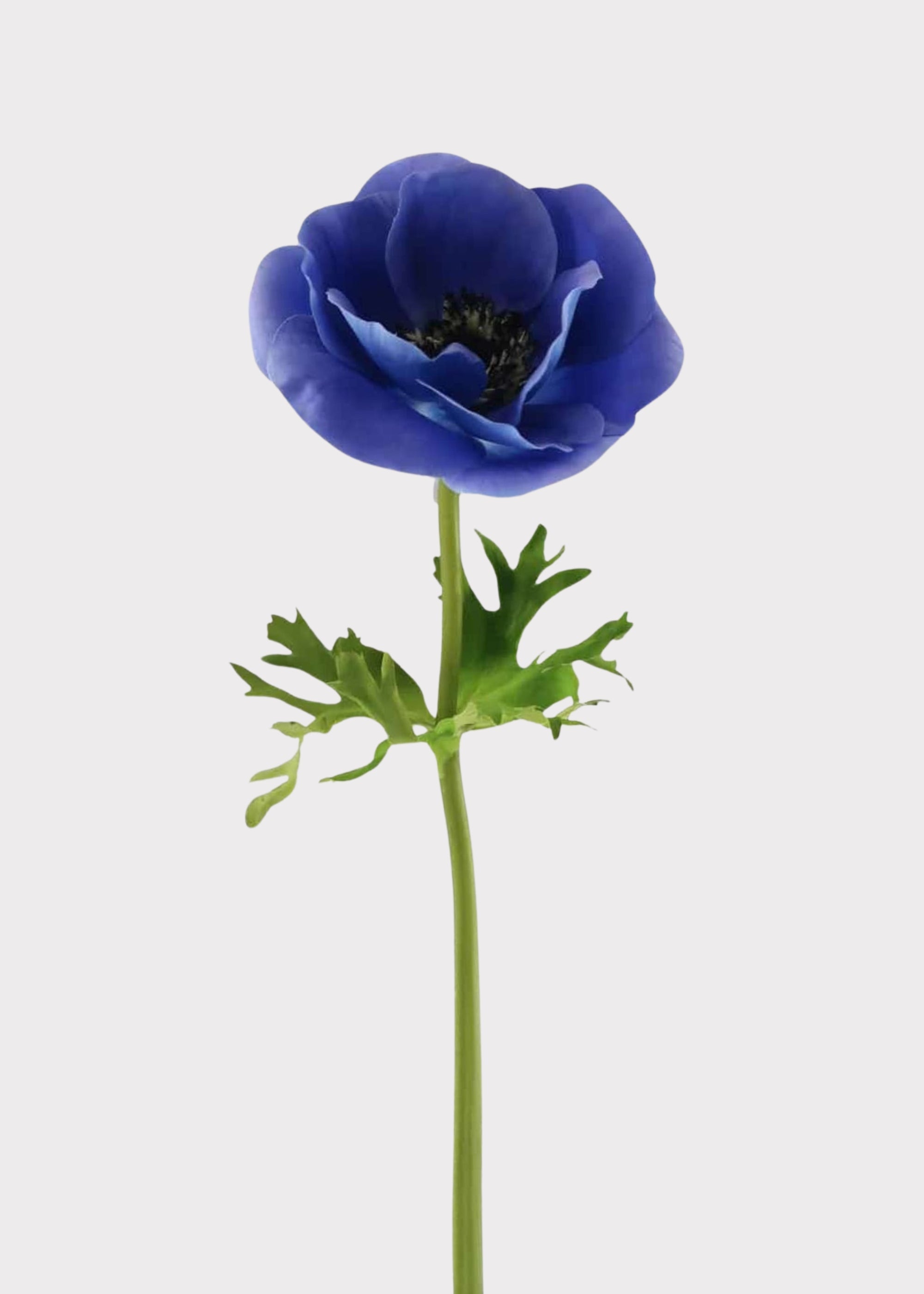 Blue Real Touch Poppy Anemone Flower - 17.5"