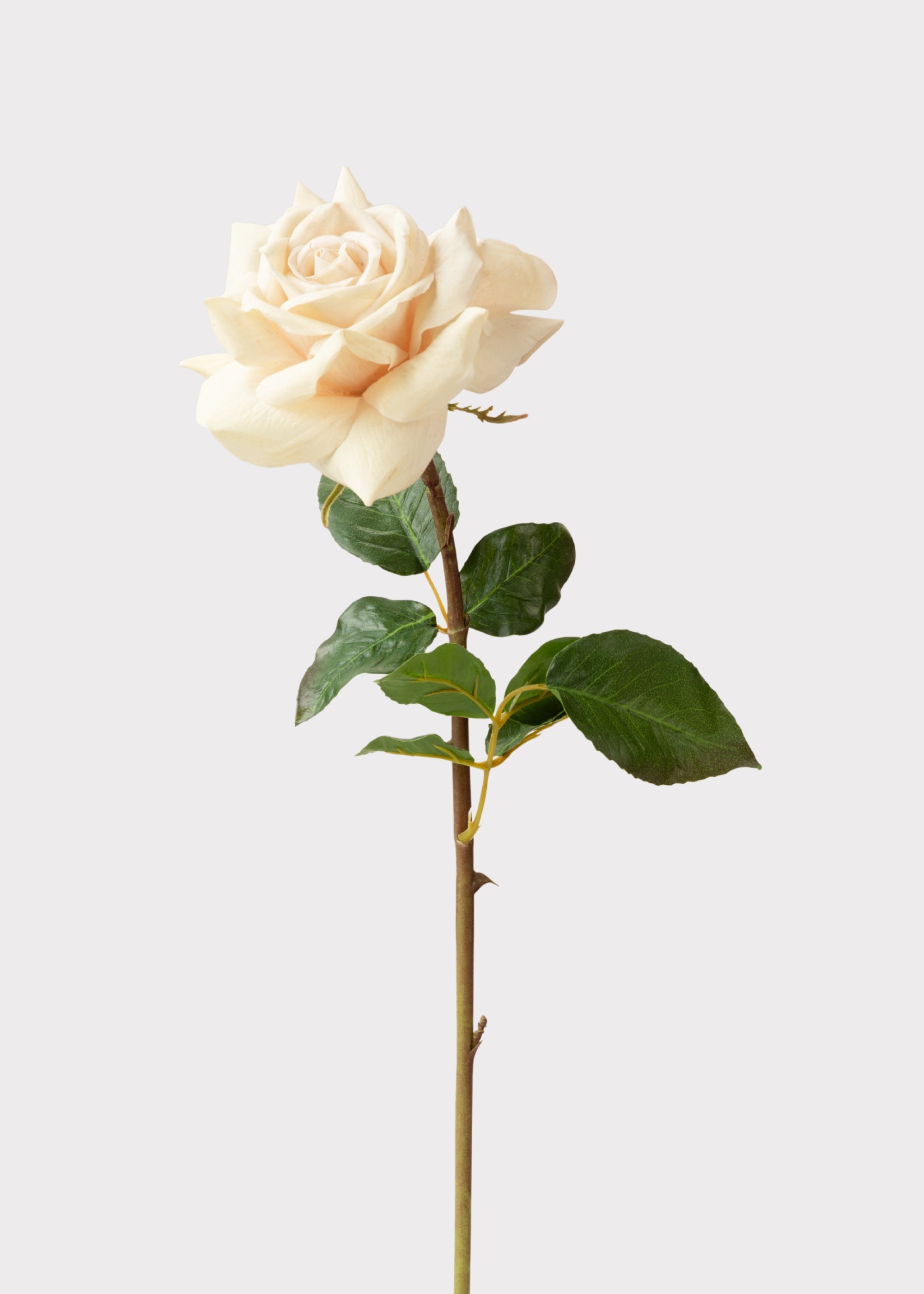 Beige Real Touch Duchess Rose Fake Flower - 20"