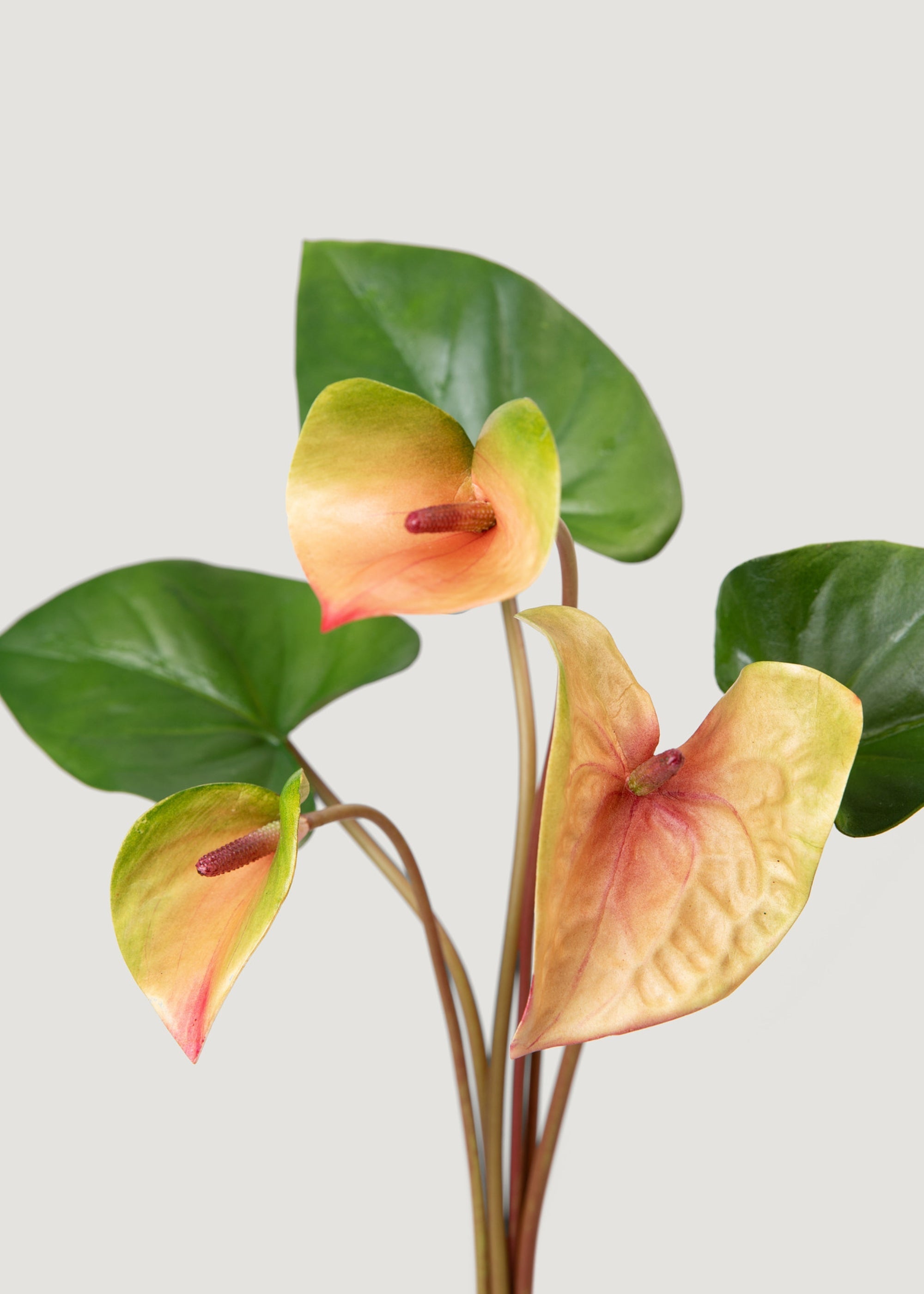 Pink and Green Fake Tropical Flower Anthurium Bundle - 25"