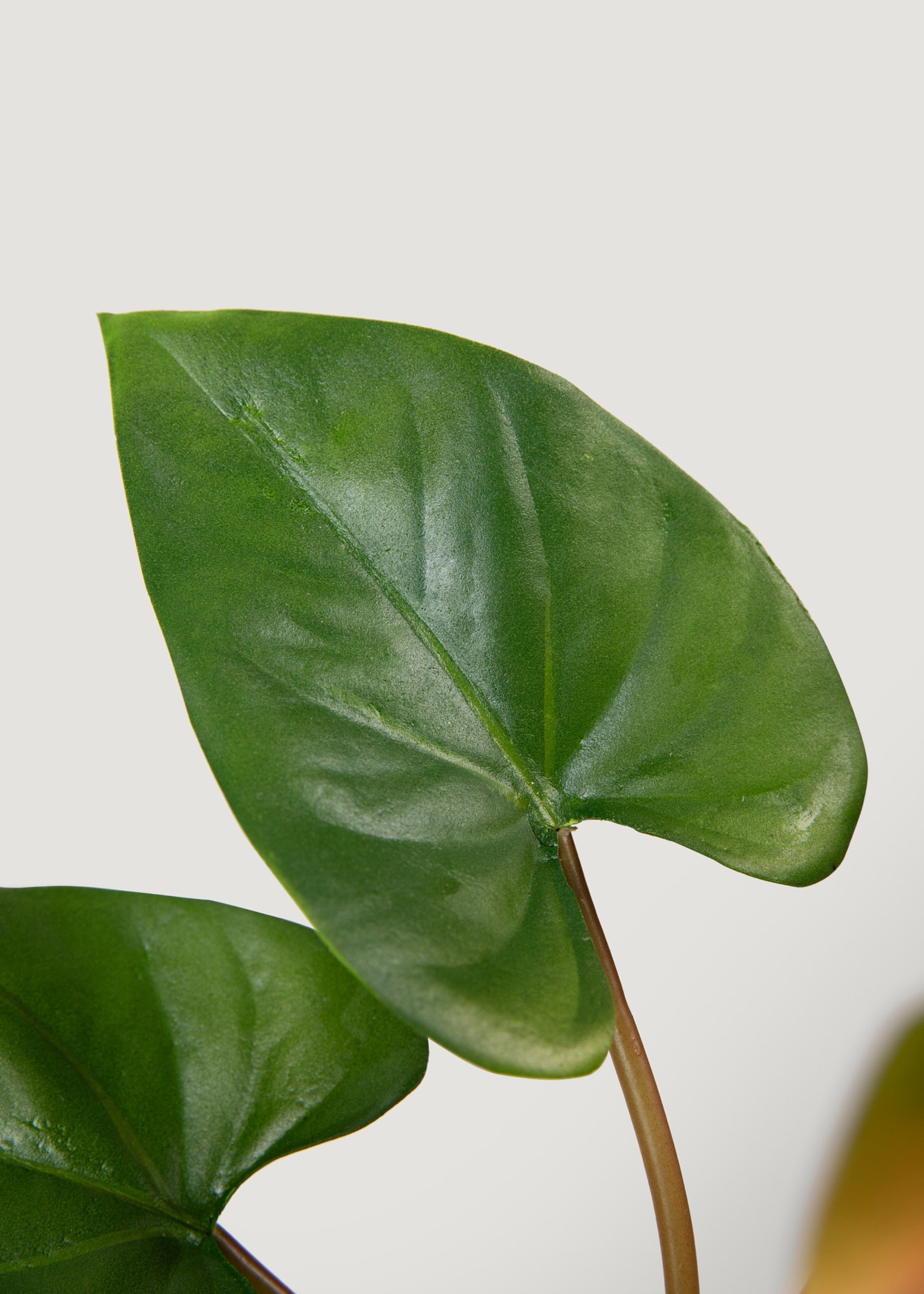 Pink and Green Fake Tropical Flower Anthurium Bundle - 25"