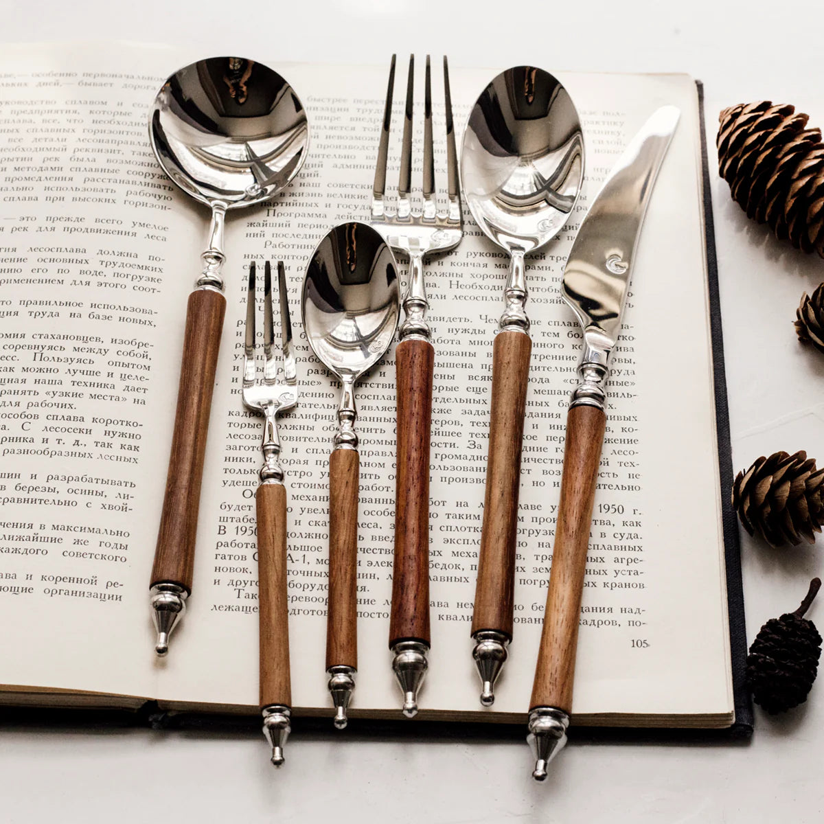 Set of silver cutlery with wooden handles on an open book