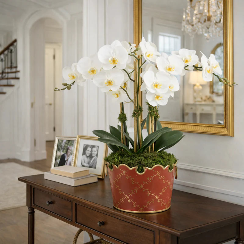 White orchid in a decorative pot on a wooden console table with framed photos and books.