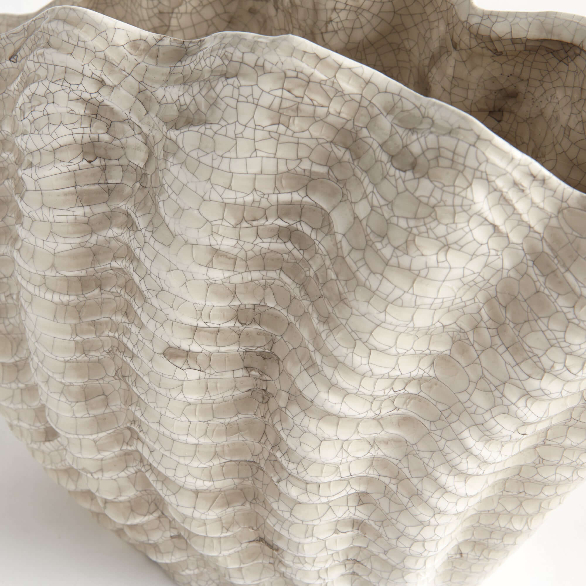 Close-up of a ceramic shell shaped vase with a textured, cracked surface on a white background