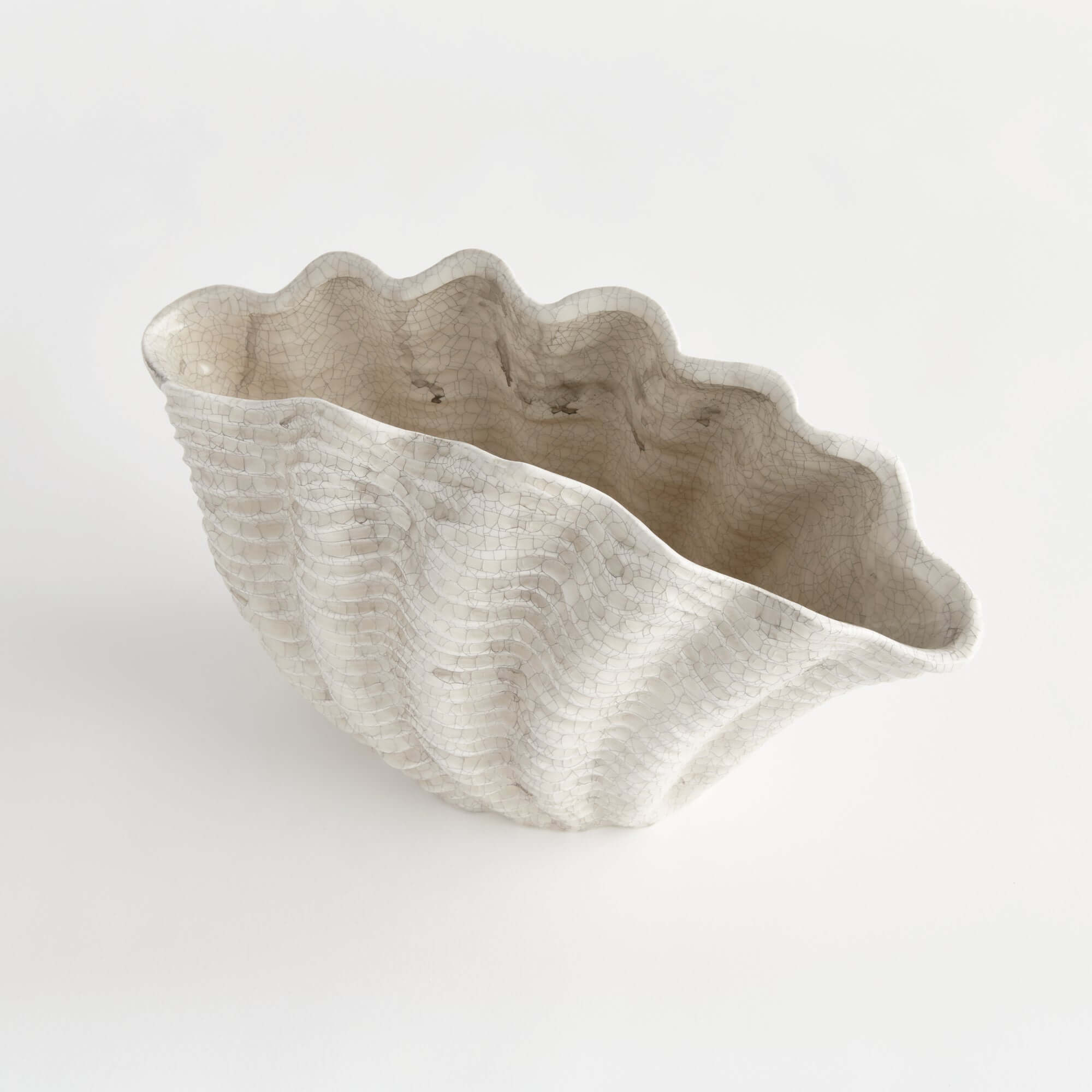 Decorative shell vase on a white background