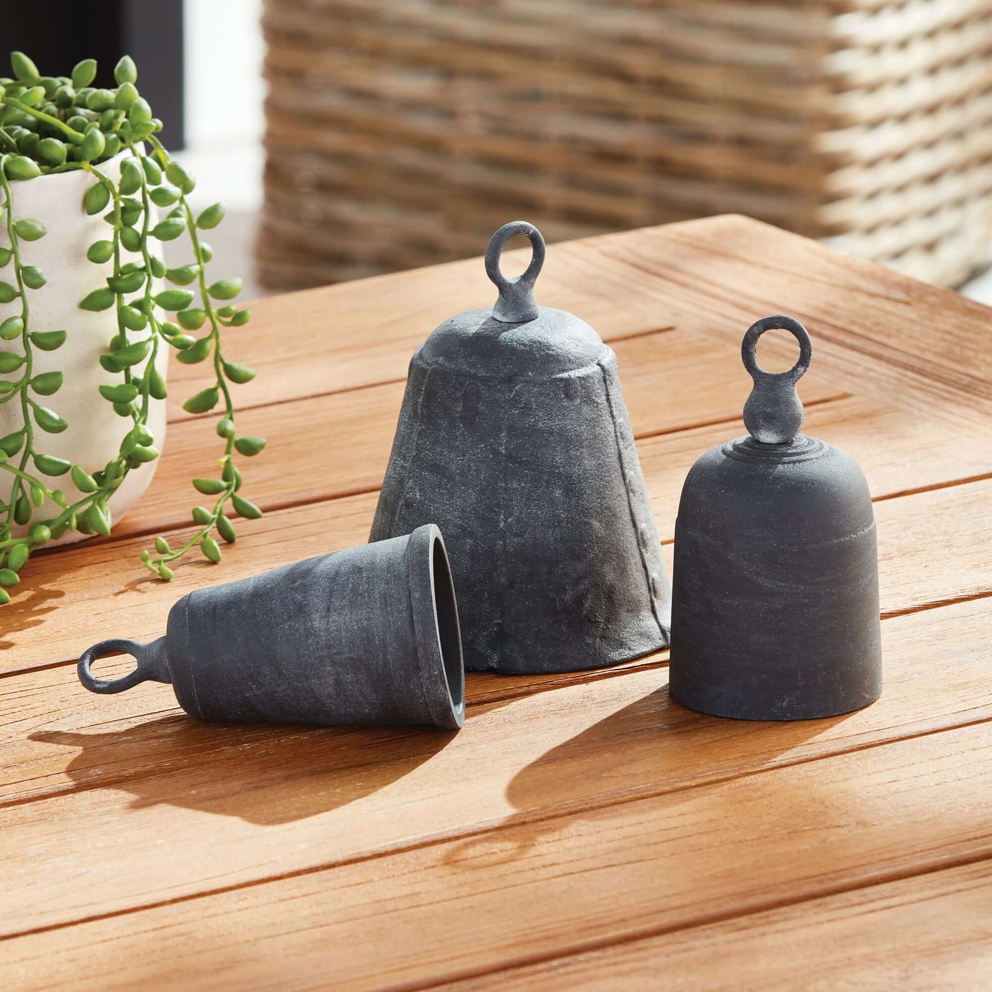 Three rustic metal bells on a wooden surface with a plant in the background