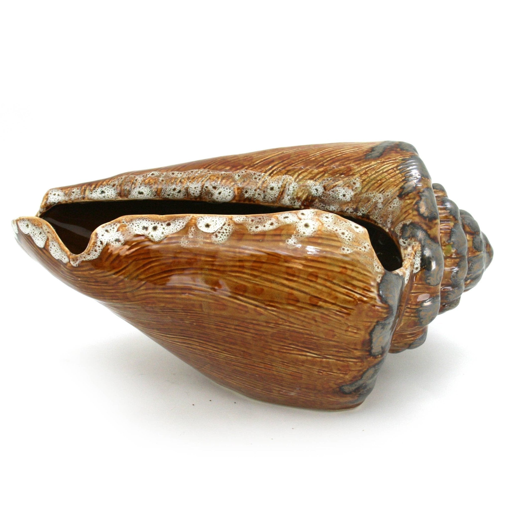 Brown shell-shaped container on a white background