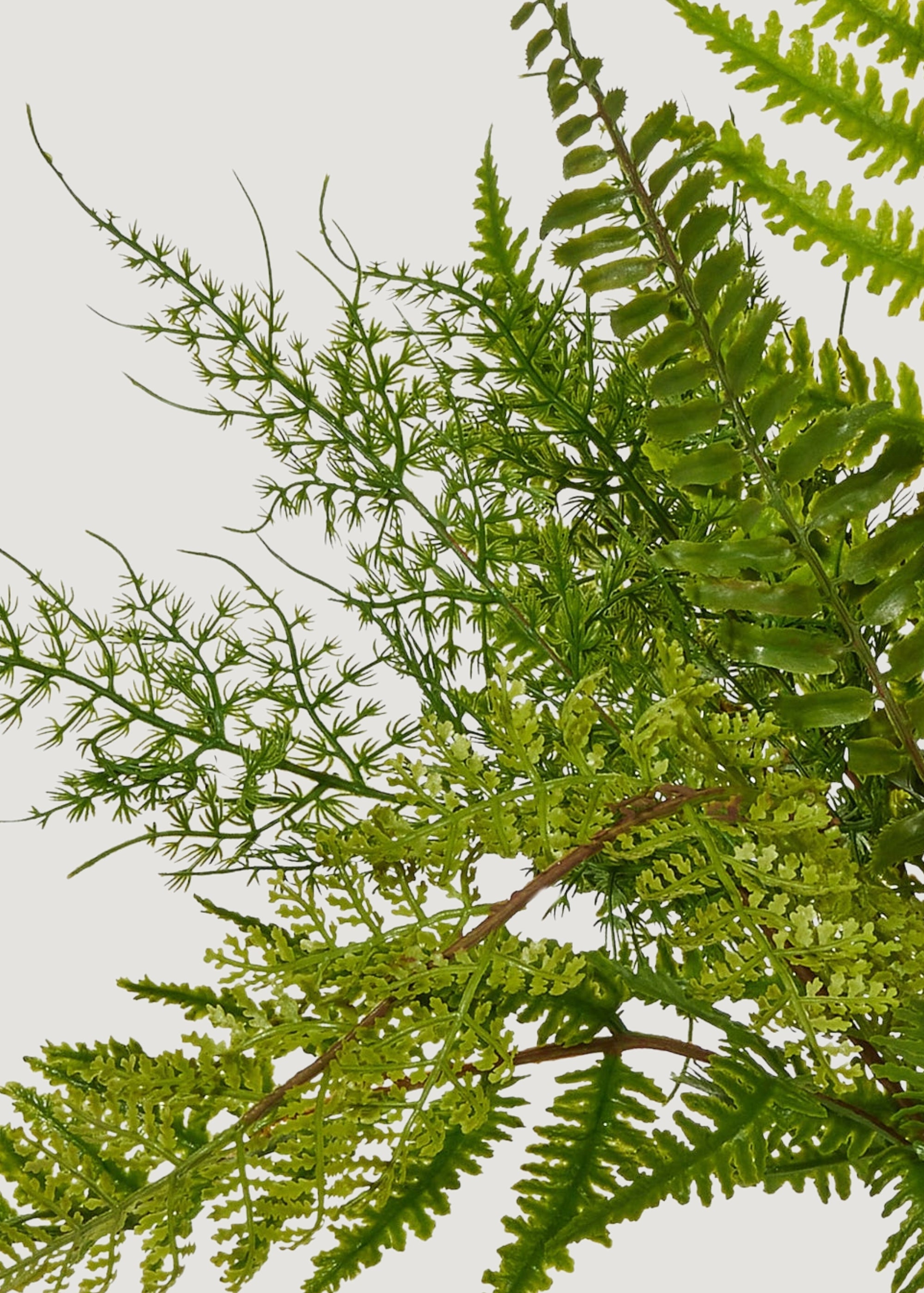 Fake Fern Leaf Plant - 18.5"