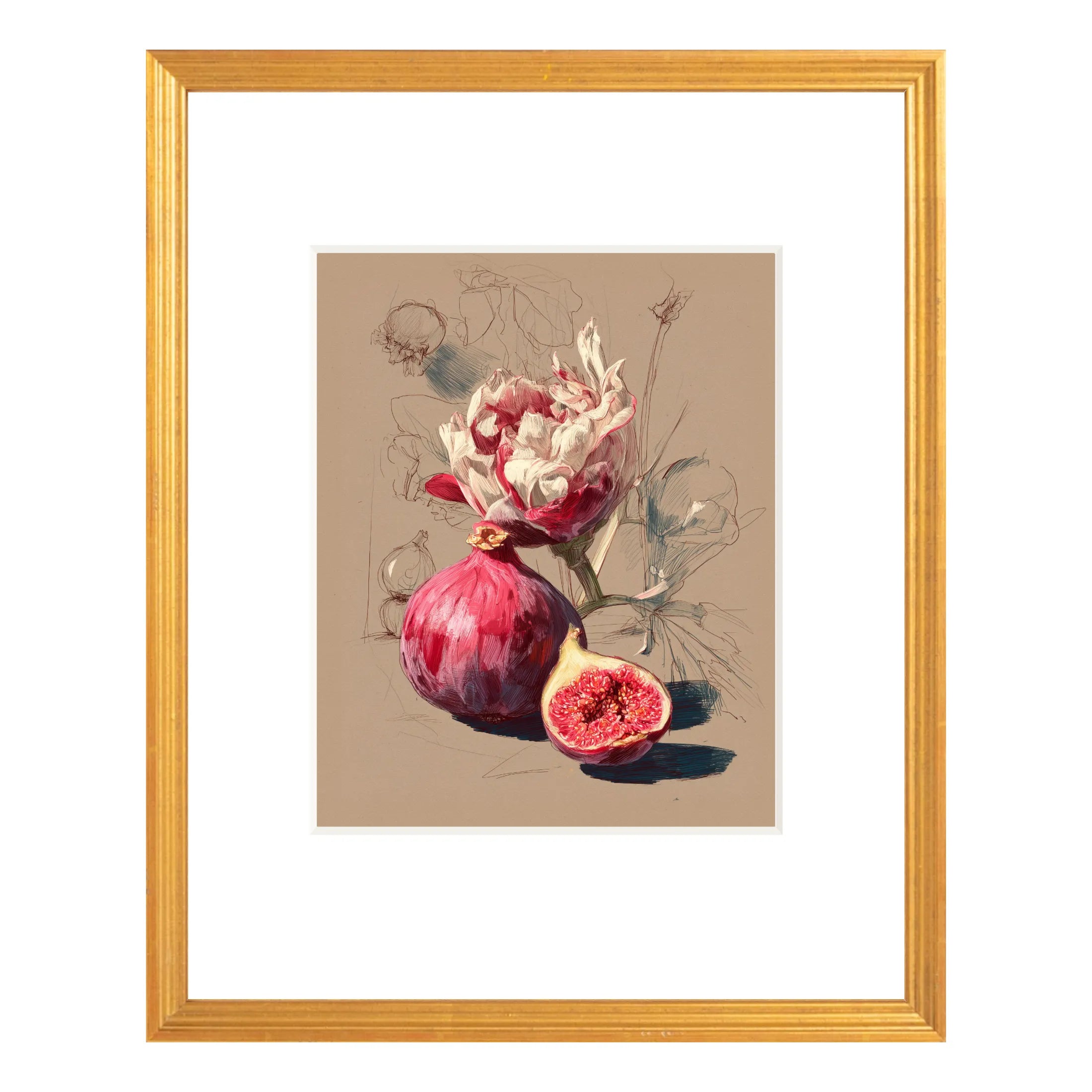 Framed fig still life art print featuring whole and cut fig, antique gold frame with white mat, 16 × 20 front view