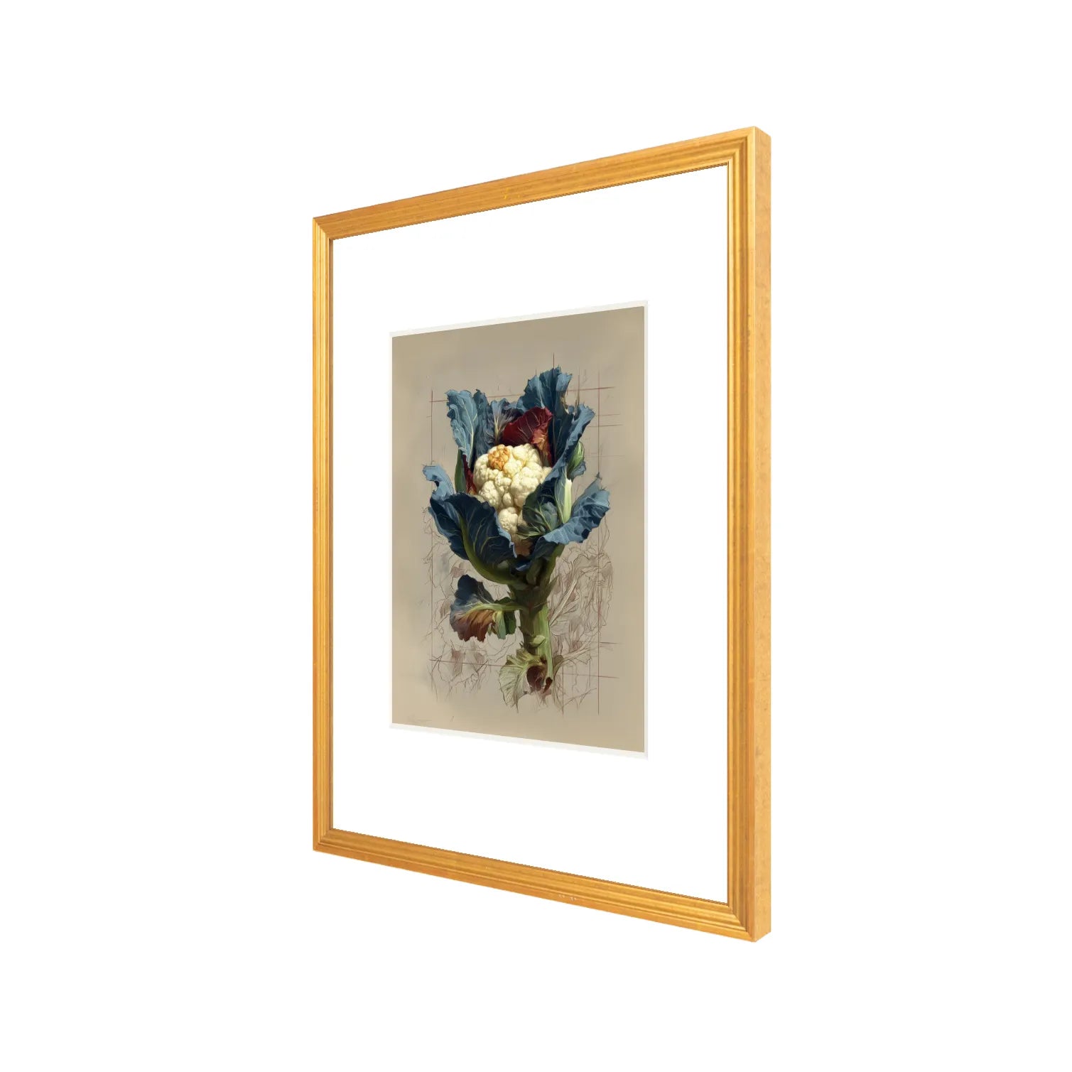 Framed cauliflower still life print in antique gold frame, 16 x 20 gallery wall art with wide white mat on neutral background