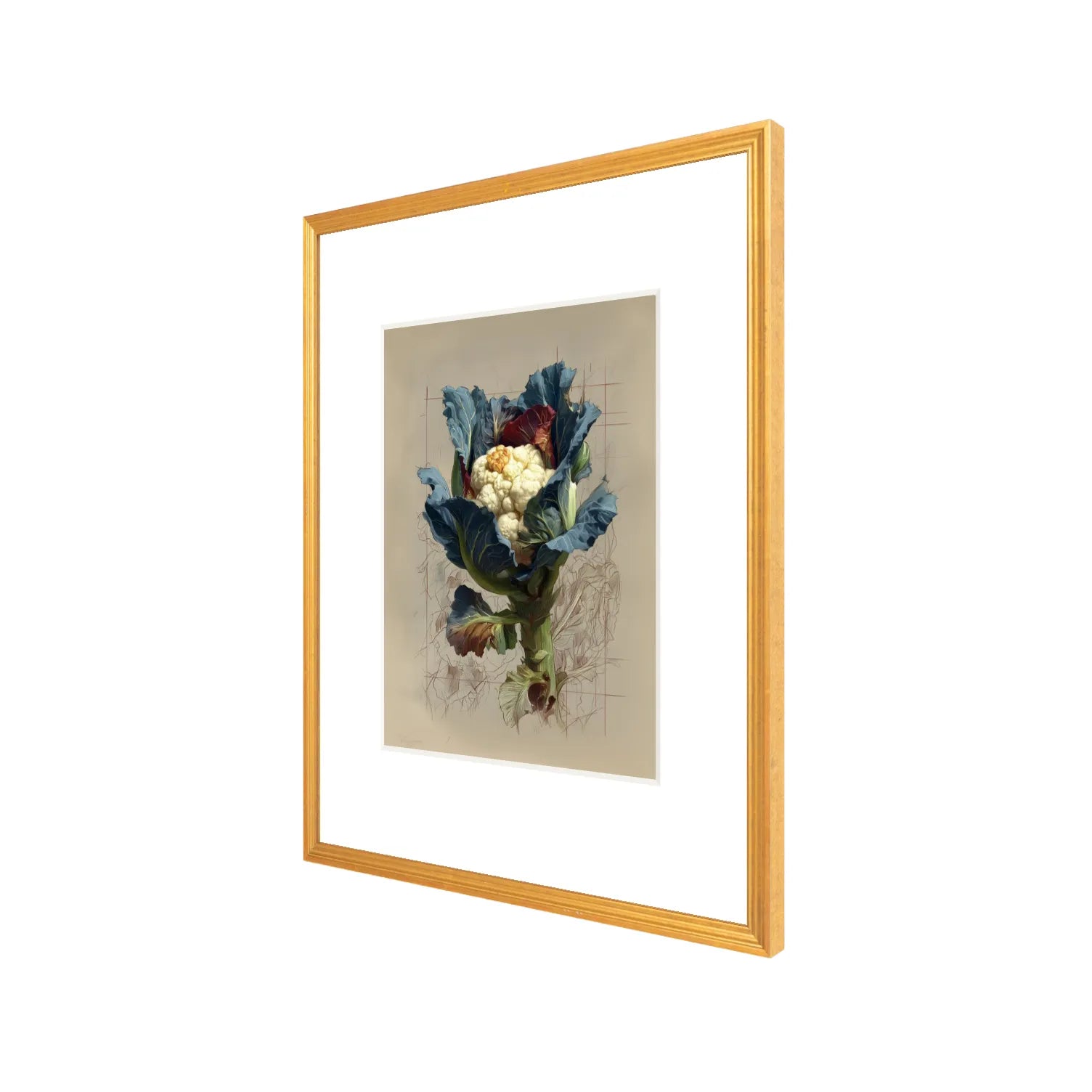 Framed cauliflower still life print in antique gold frame, 20 x 24 gallery wall art with wide white mat on neutral background