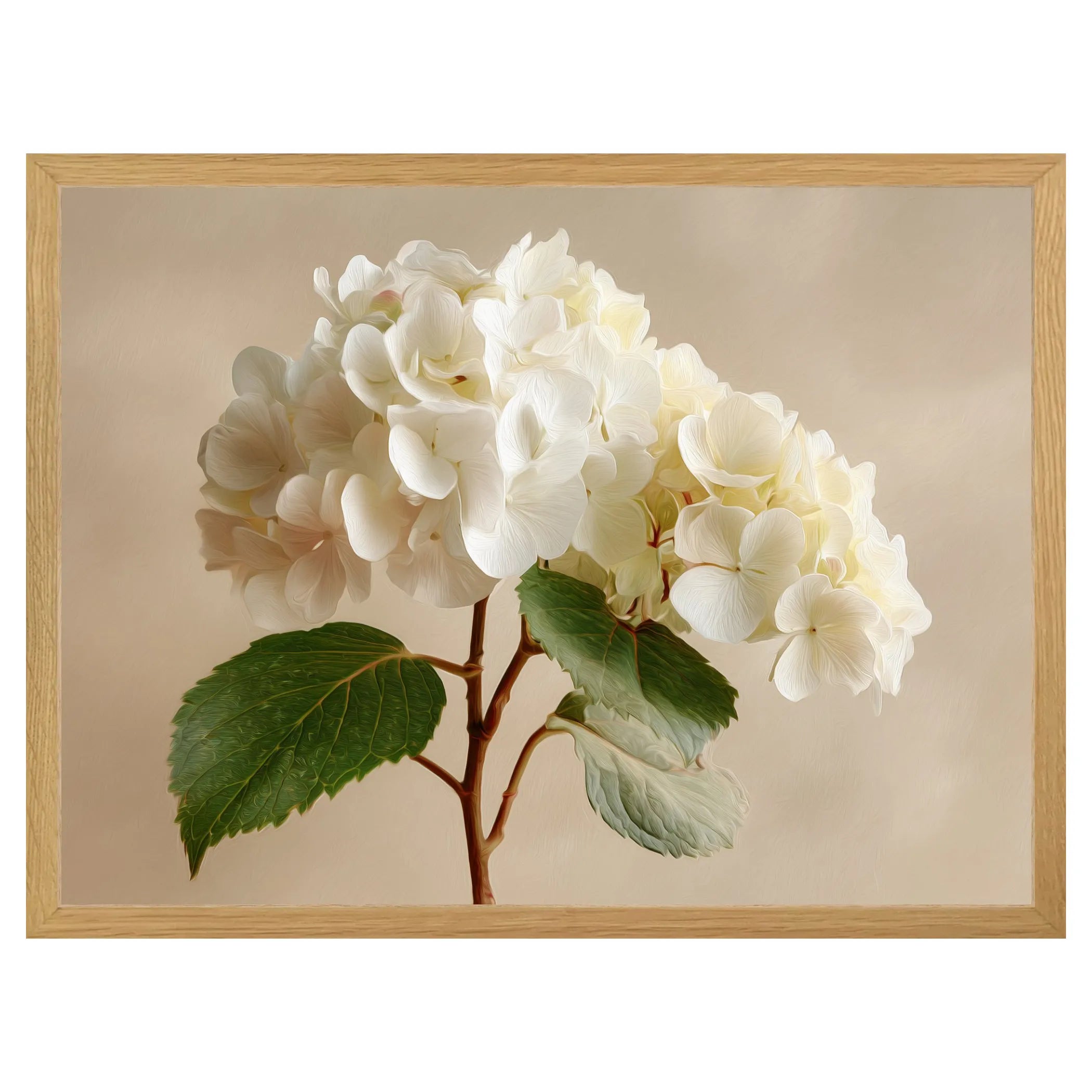 Framed artwork of white hydrangeas with green leaves on a light background